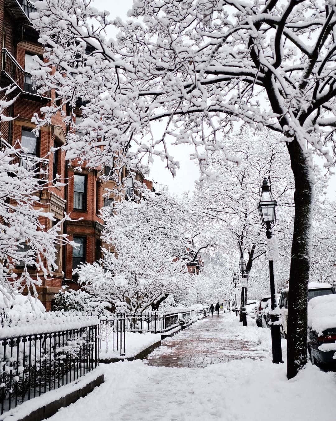 Winter Wonderland Urban Street.jpg Wallpaper