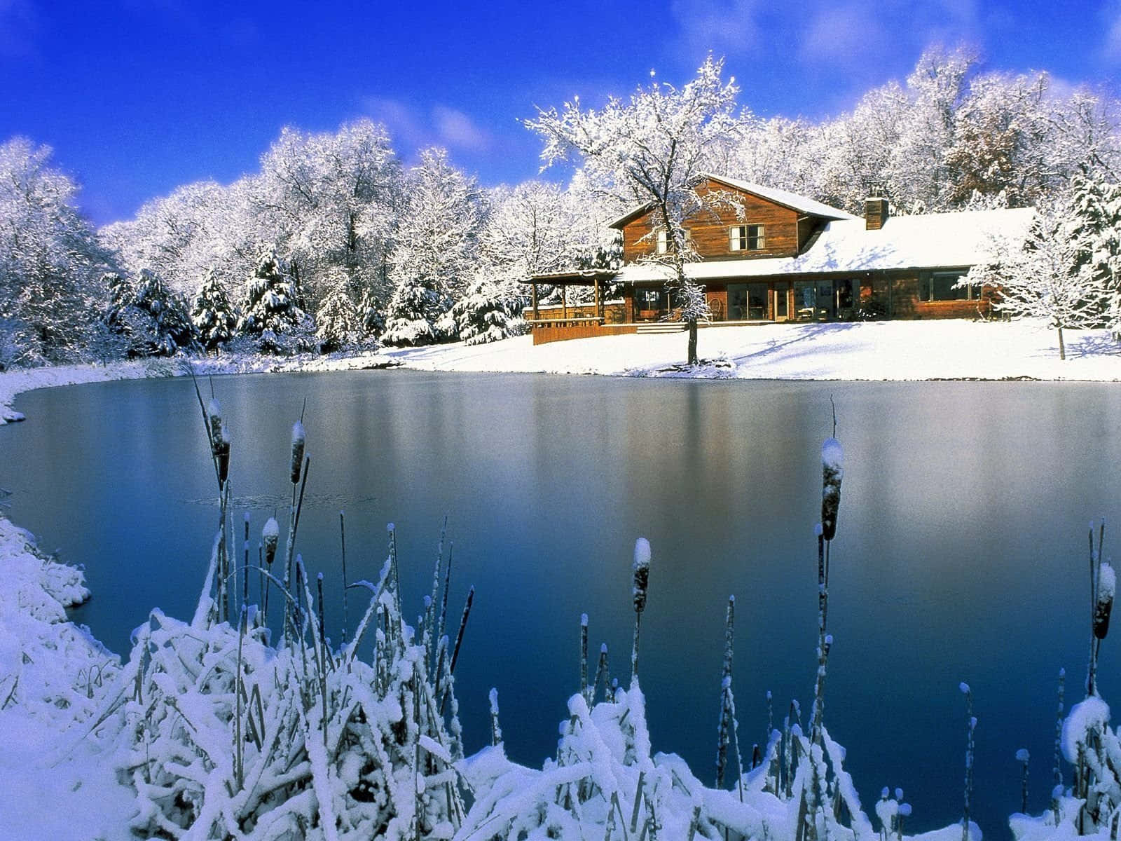 Vinterzoom-bakgrund Hus Vid Sjön