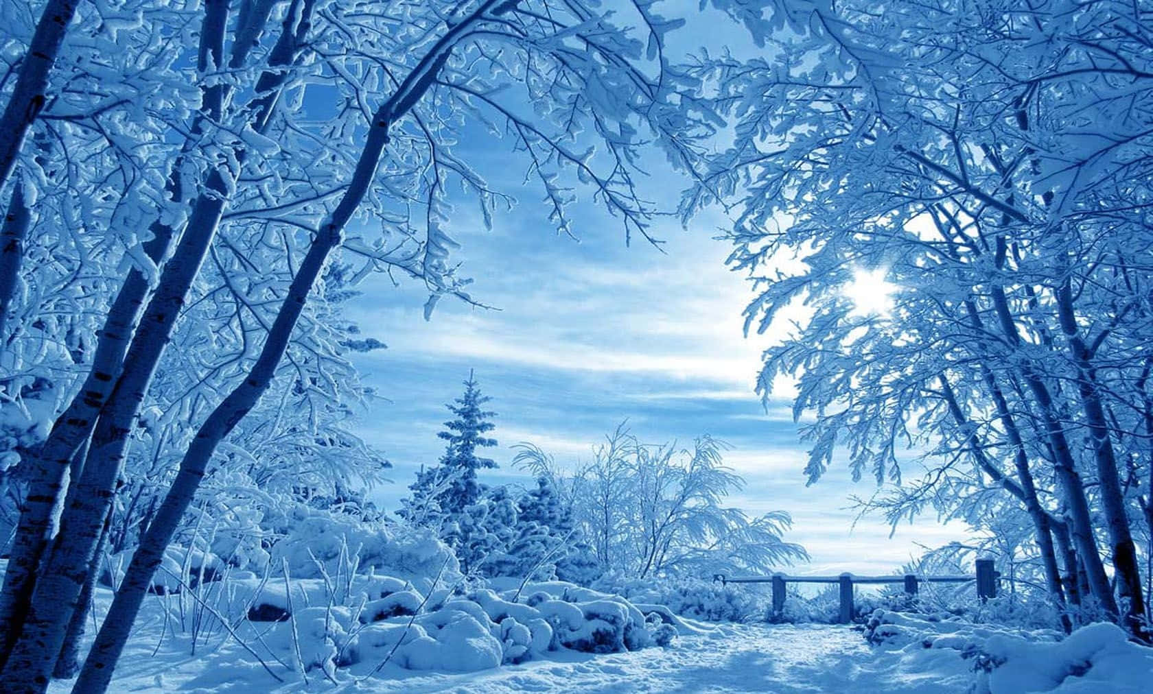 Snowy Scenery In Winter Zoom Background