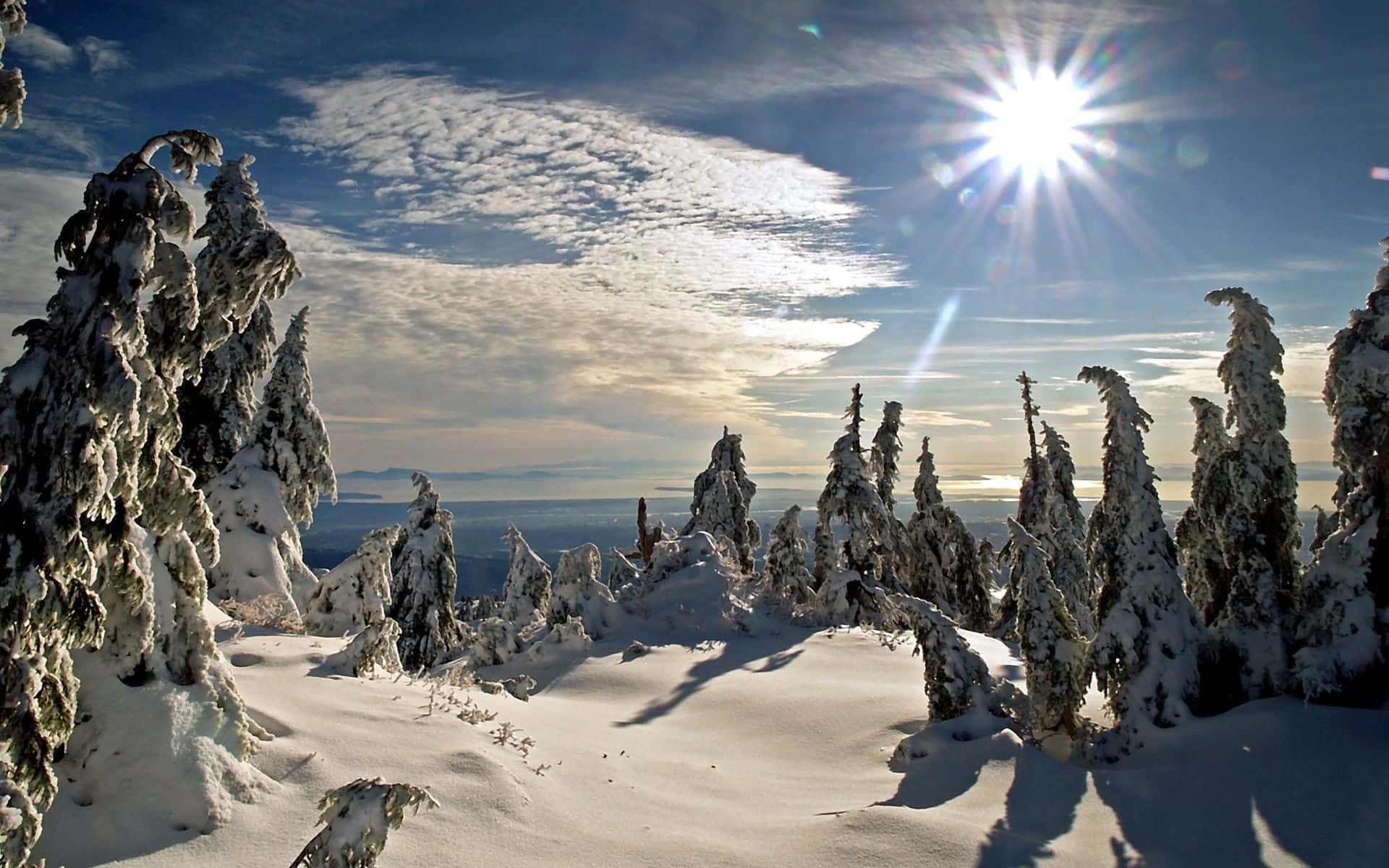 Sfondoinvernale Per Zoom: Luce Solare Su Un Paesaggio Innevato