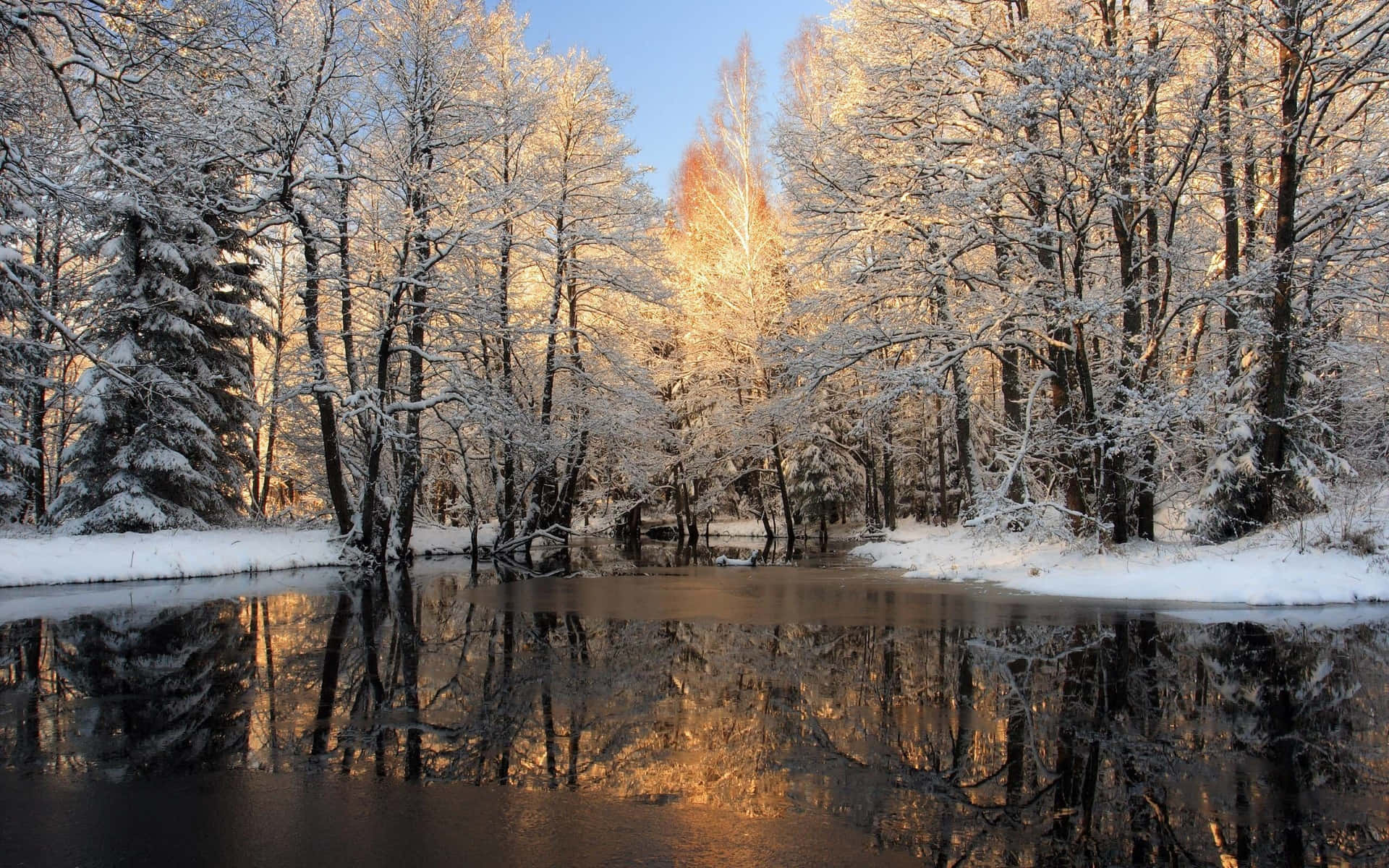 Forest Lake Scenery Winter Zoom Background