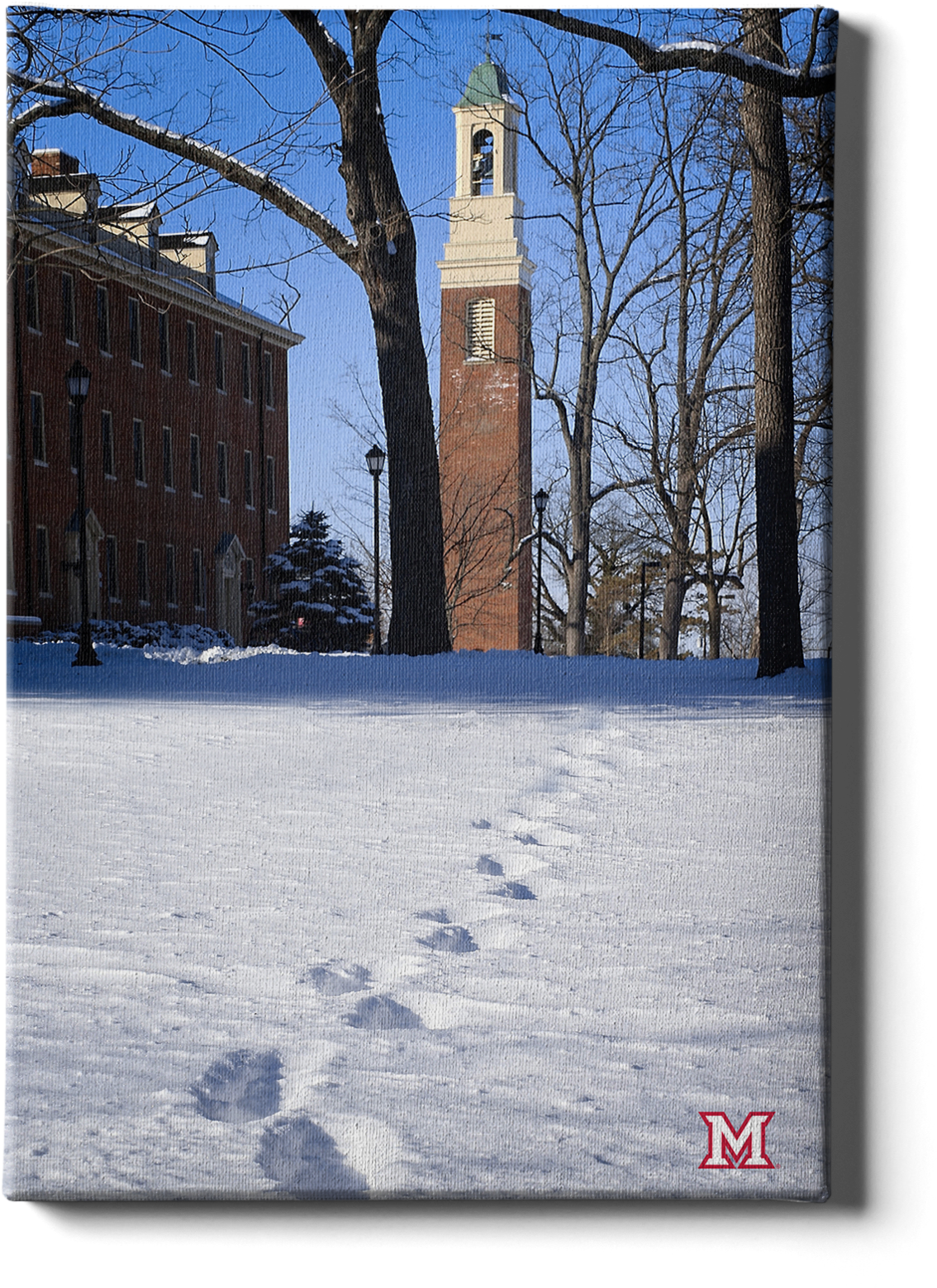 Winter_ Campus_ Snowy_ Footprints PNG