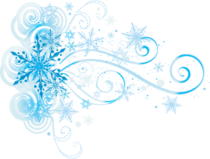 Winter_ Flourish_ Artwork PNG