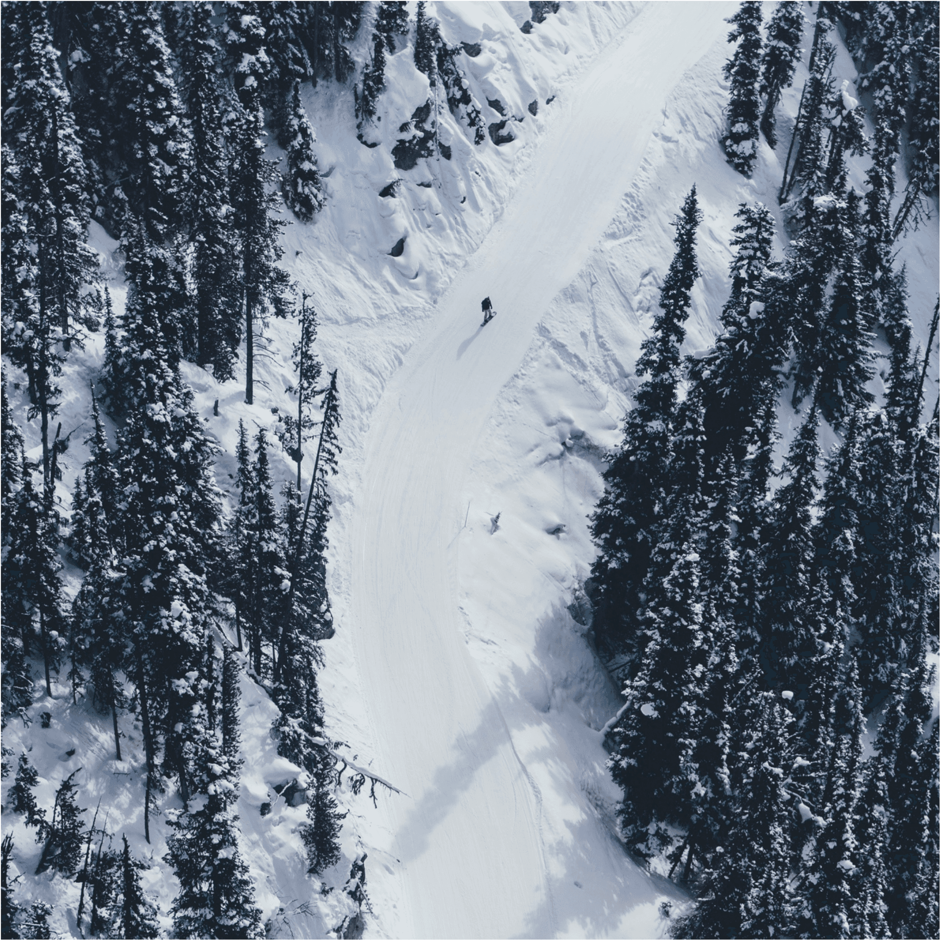 Winter_ Ski_ Trail_ Aerial_ View.jpg PNG