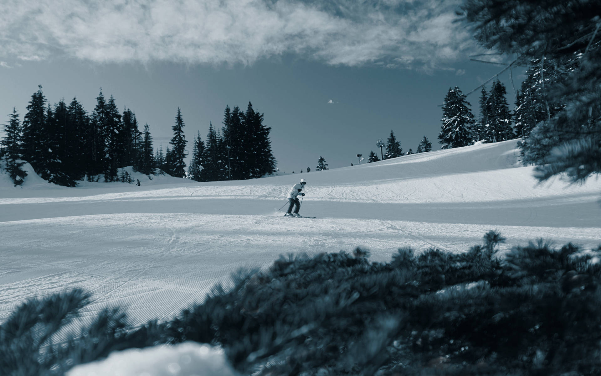 Winter_ Skiing_ Adventure SVG