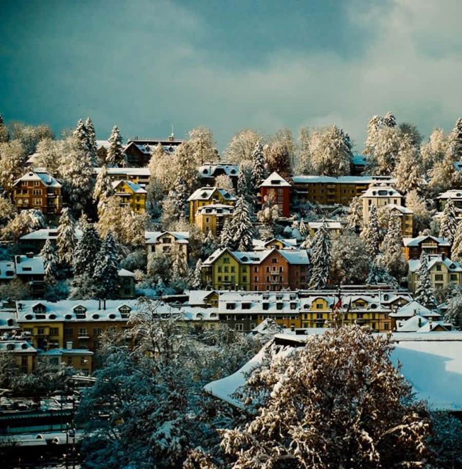 Winterin St Gallen Switzerland Wallpaper