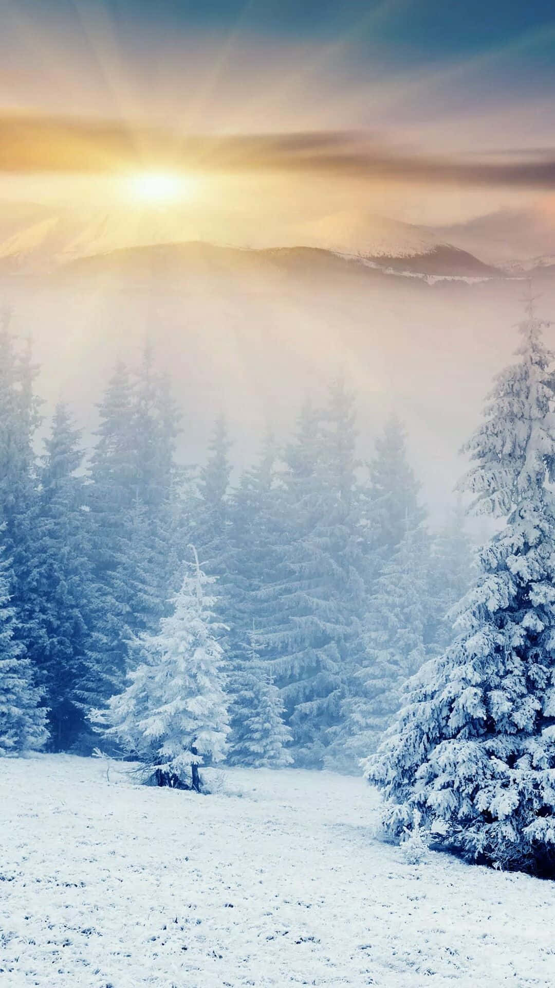 Winteriphone Hintergrund
