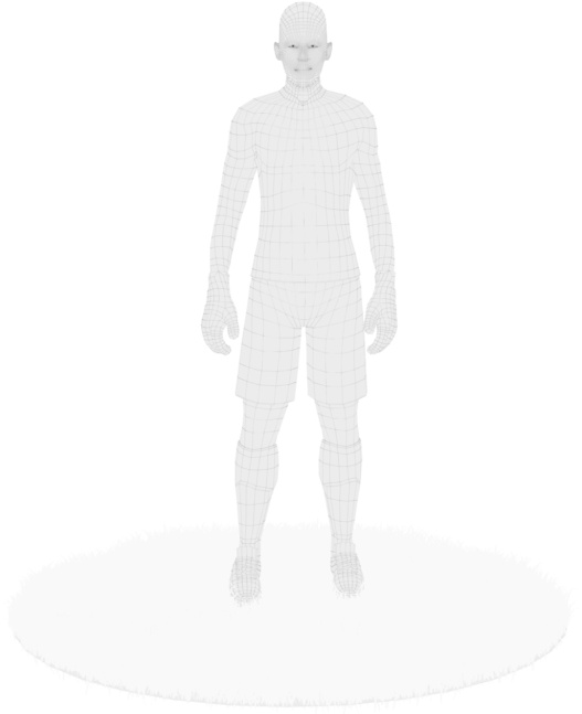 Wireframe Human Modelon Pedestal PNG