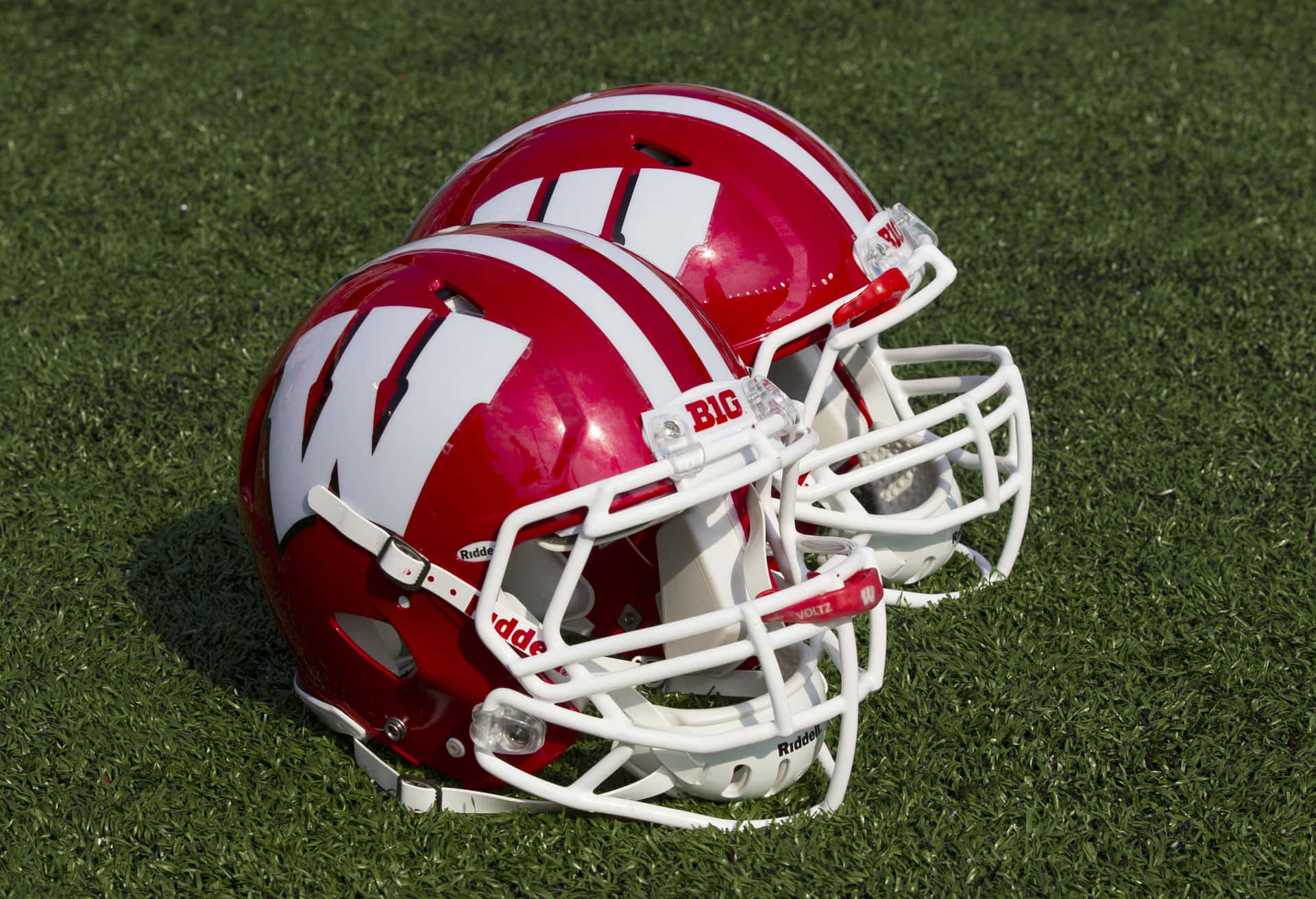 Wisconsin Badgers Football Team Charging onto the Field Wallpaper