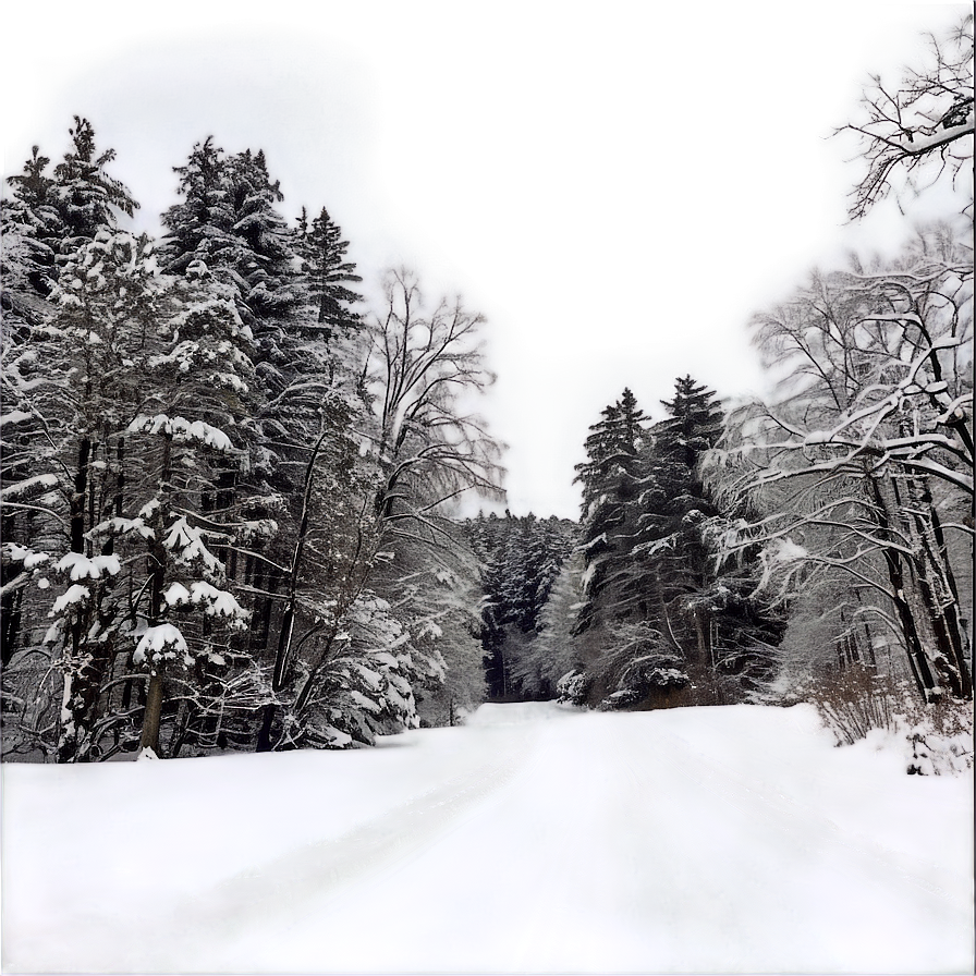 Wisconsin Winter Wonderland Png 15 PNG