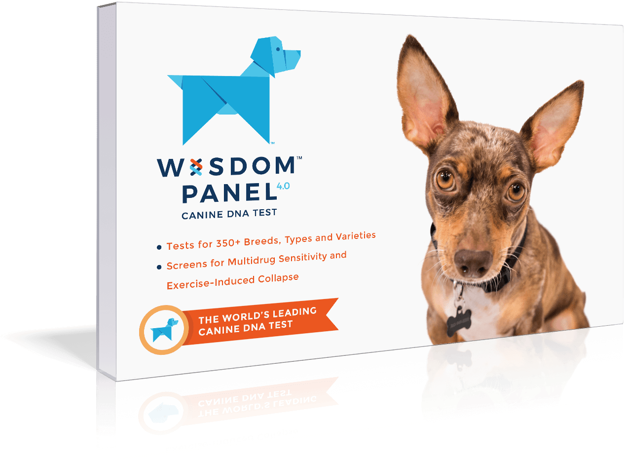 Wisdom Panel Canine D N A Test Packaging PNG