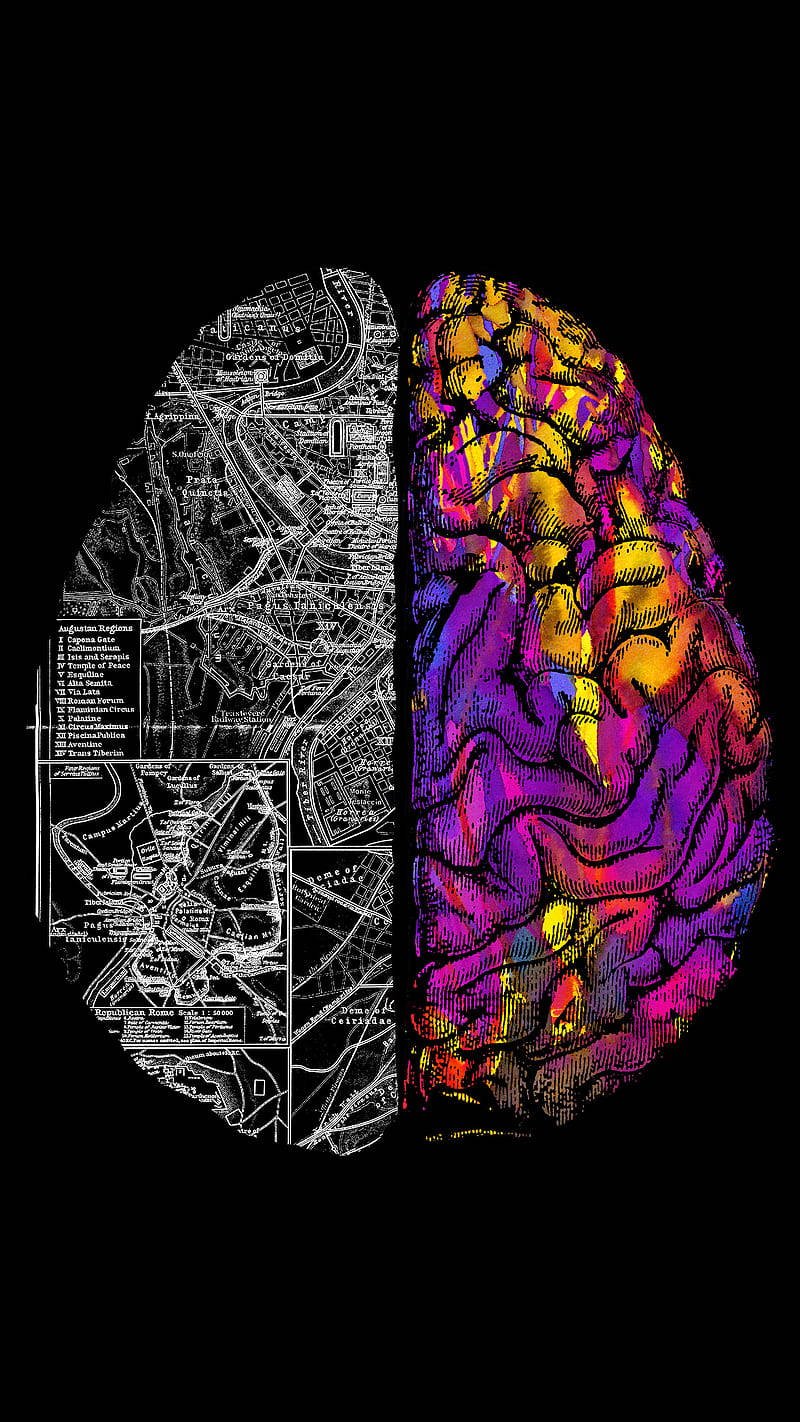 Телефон brain. Полушария мозга. Два полушария мозга. Левое полушарие. Левое полушарие мозга.