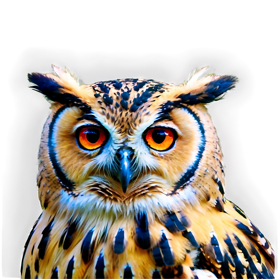 Download Wise Owl Png Vix | Wallpapers.com