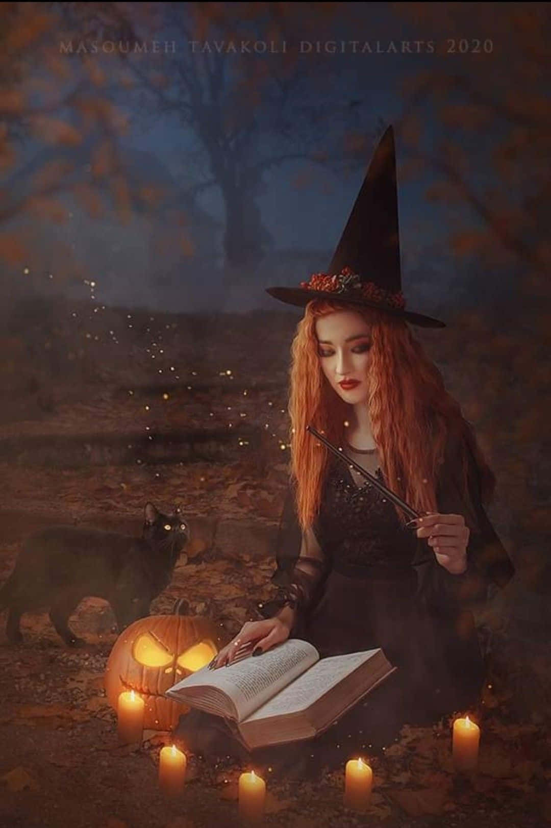 Witch in Spooky Forest Wallpaper