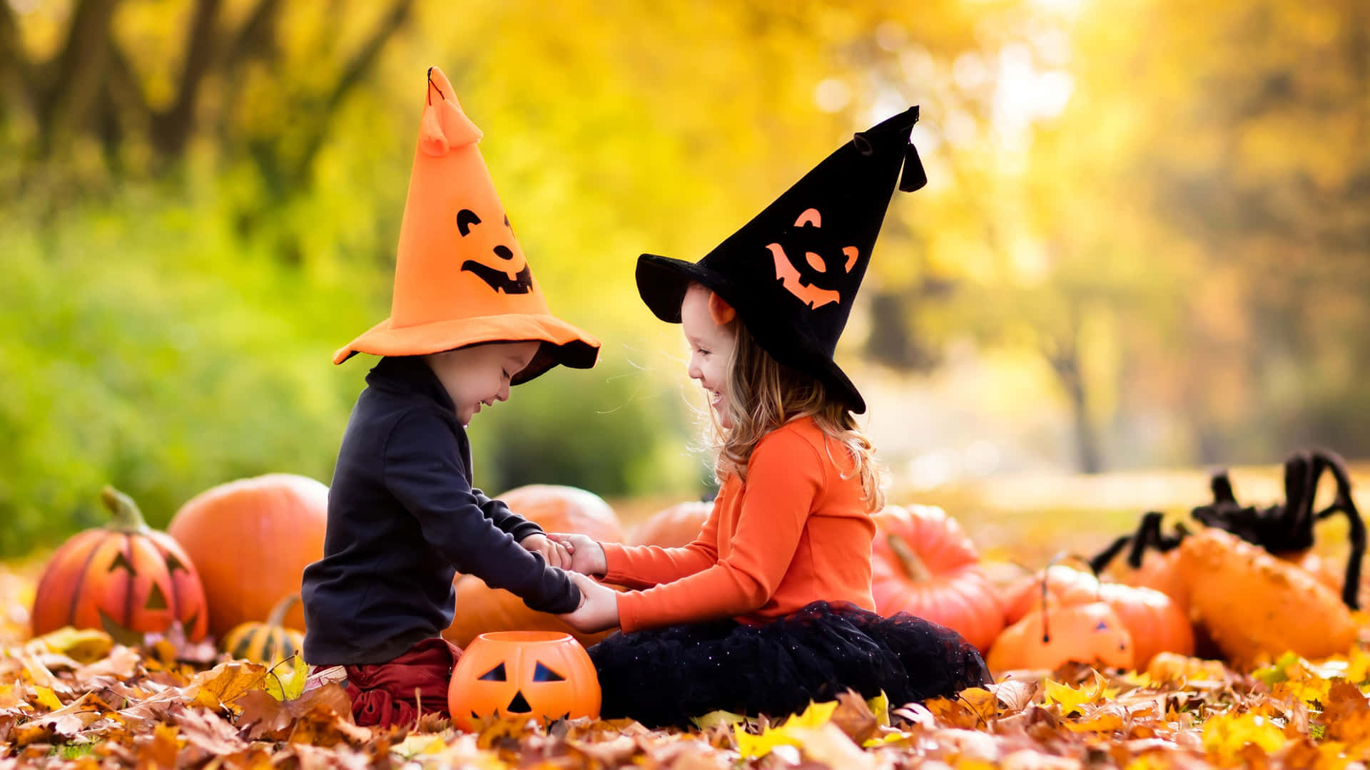 Captivating Assortment of Witch Hats Wallpaper