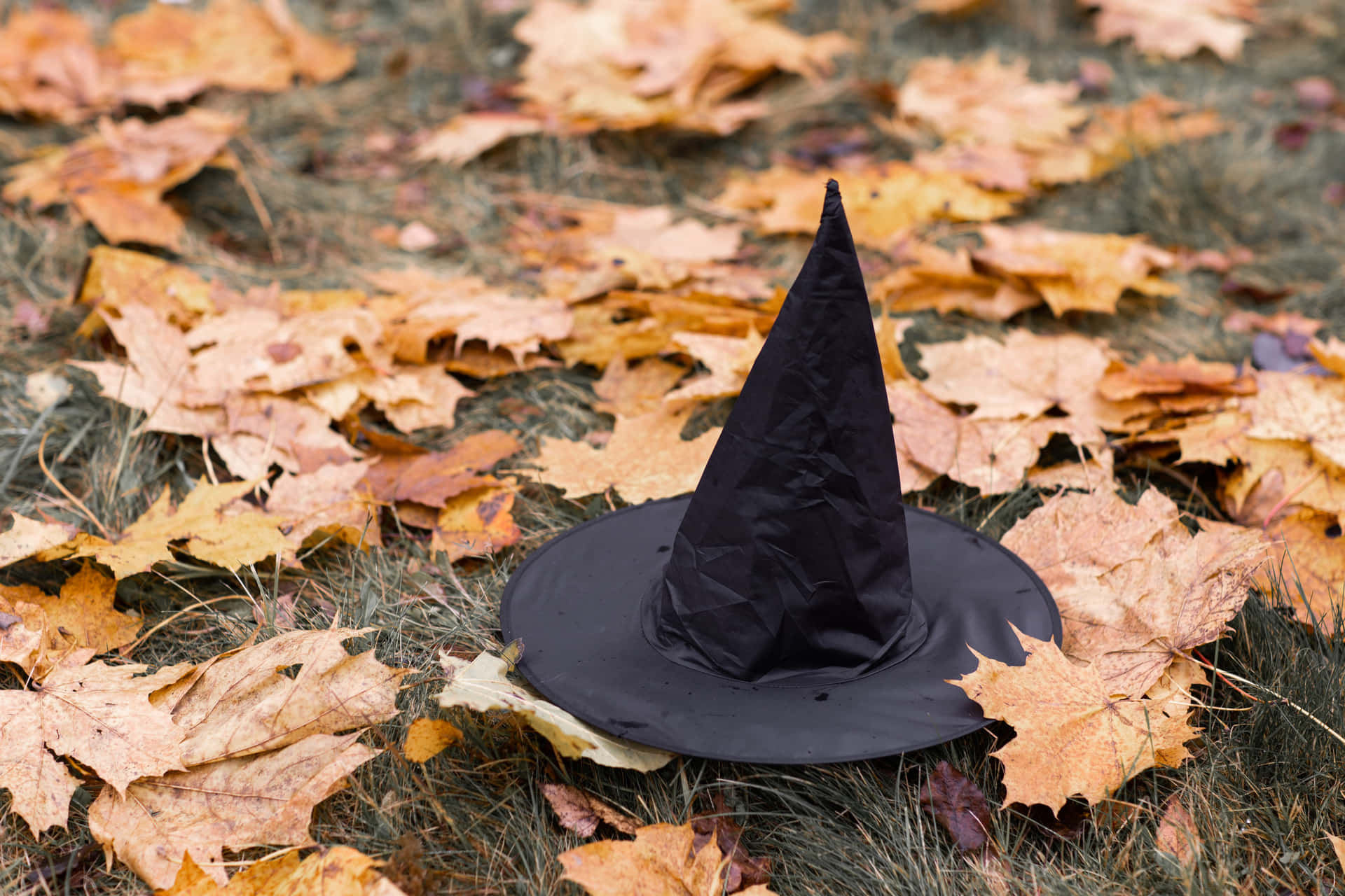 A Collection of Elegant Witch Hats Wallpaper