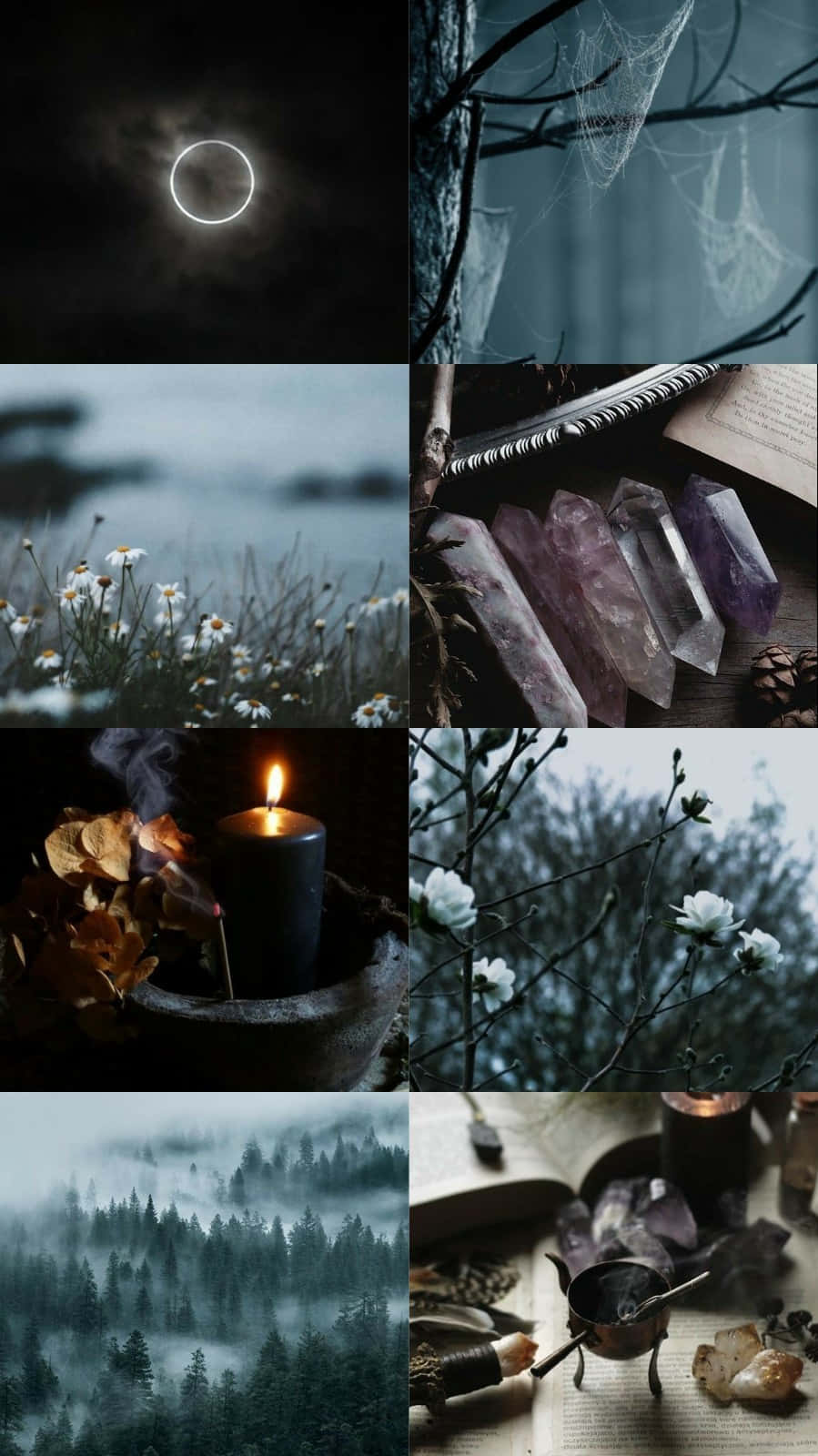 Witchcraft_ Aesthetic_ Collage Wallpaper