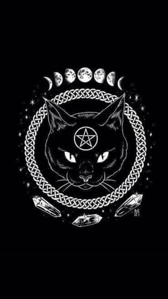 Cat Witchcraft Wallpaper