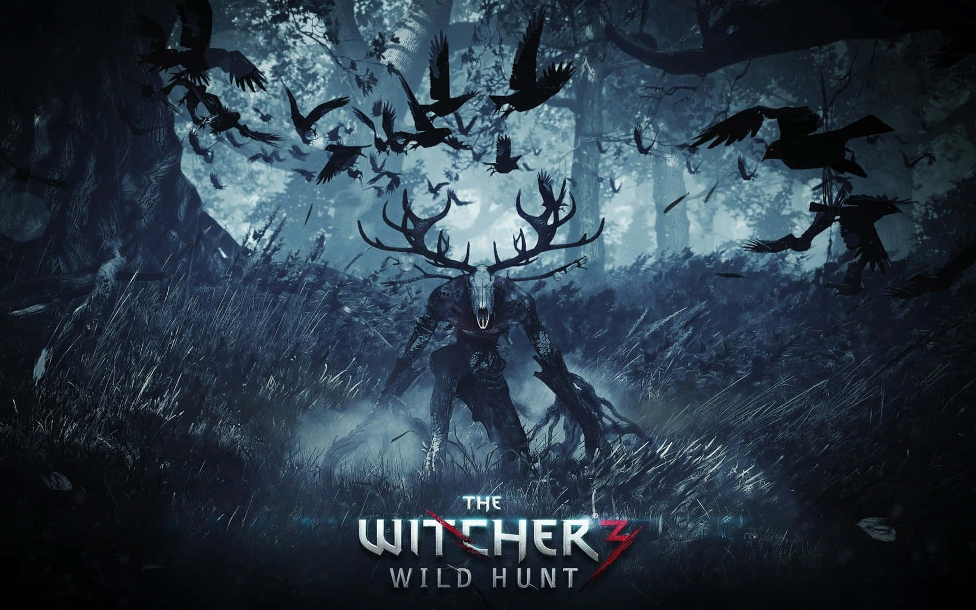 Fundode Tela Witcher 1920 X 1200