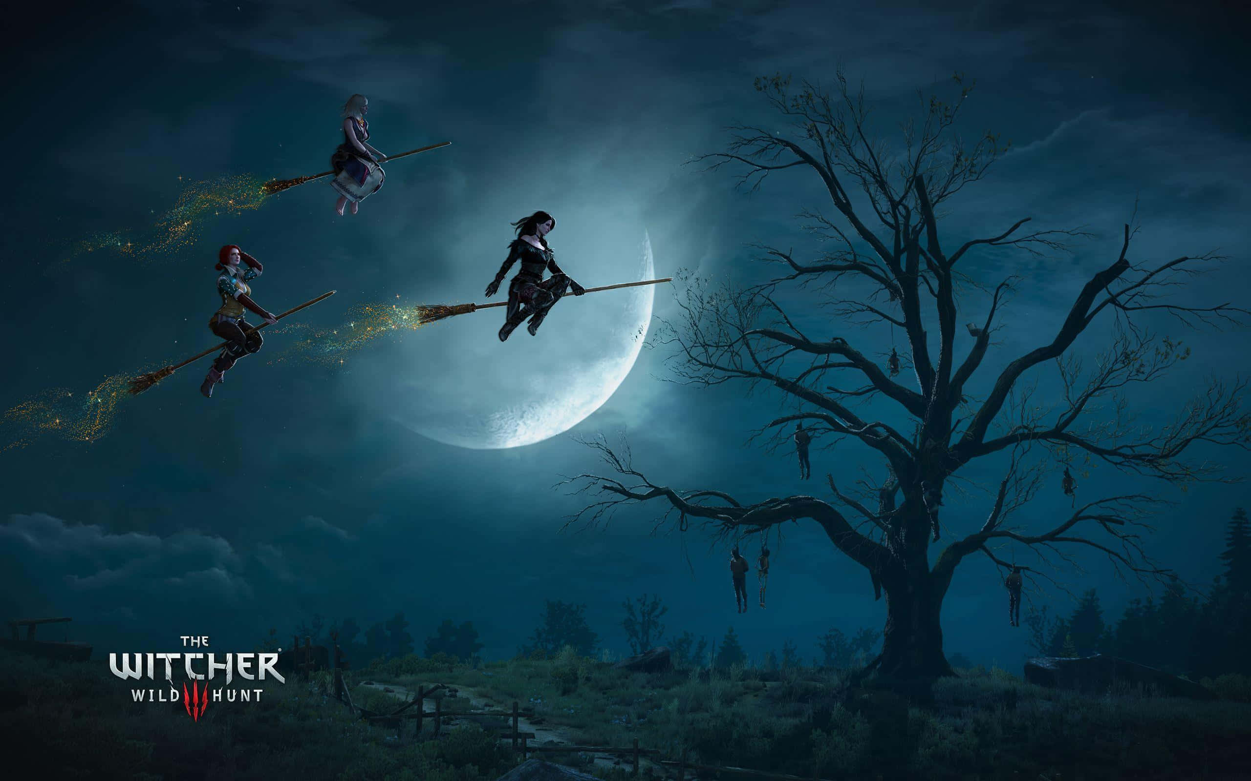 The Witcher - Dark Forest Battle