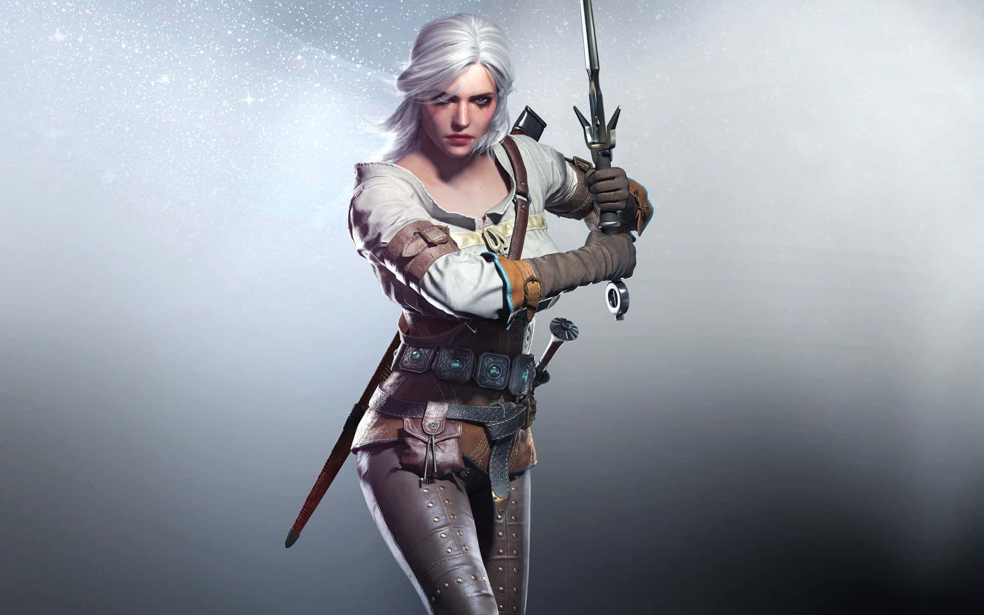 Explore the magnificent world of the Witcher