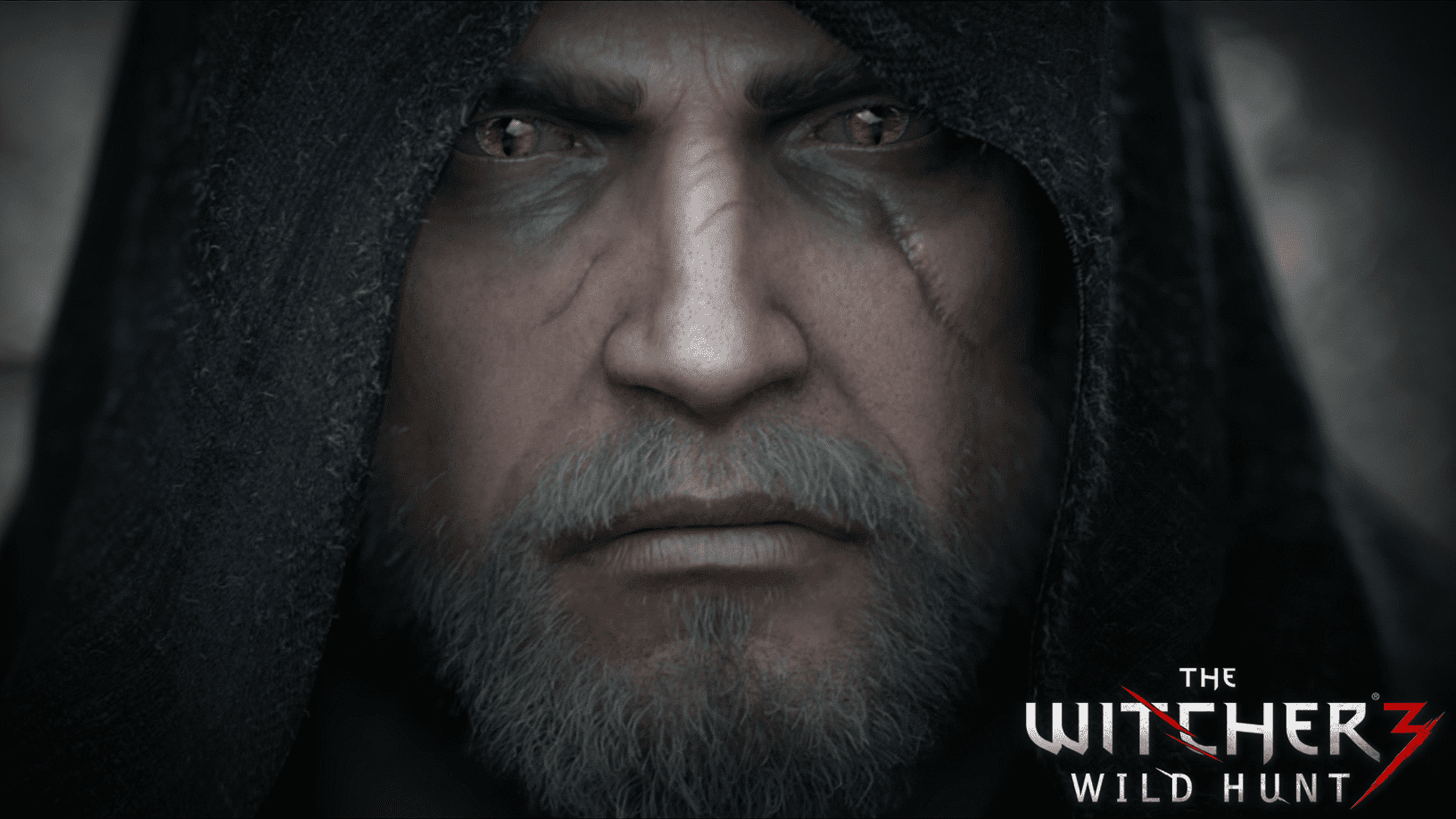 The Witcher 3 Wild Hunt - Screenshot Thumbnail