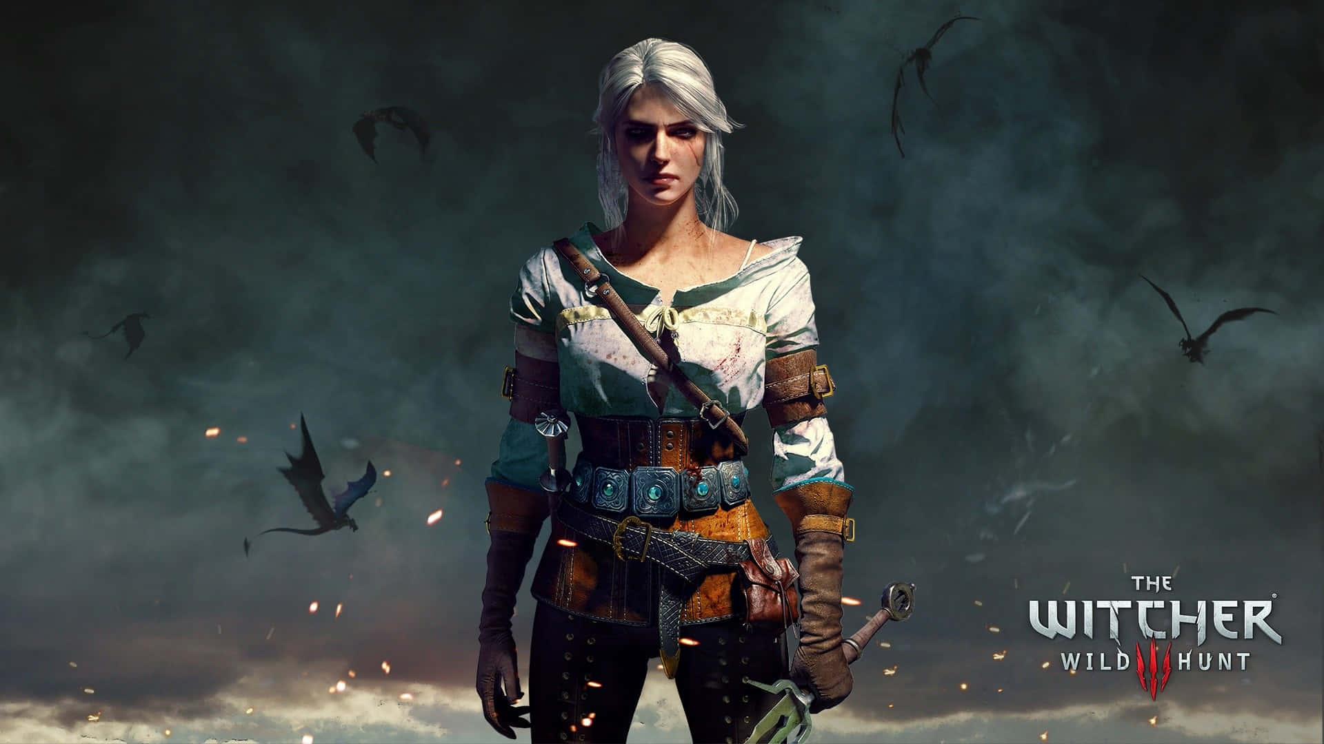 THE WITCHER 3 – WILD HUNT – The N World