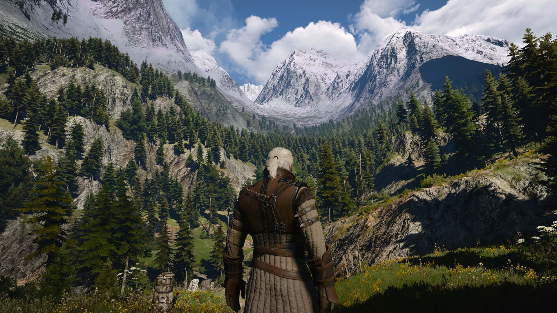 Witcher_ Gazing_at_ Mountain_ Landscape Wallpaper