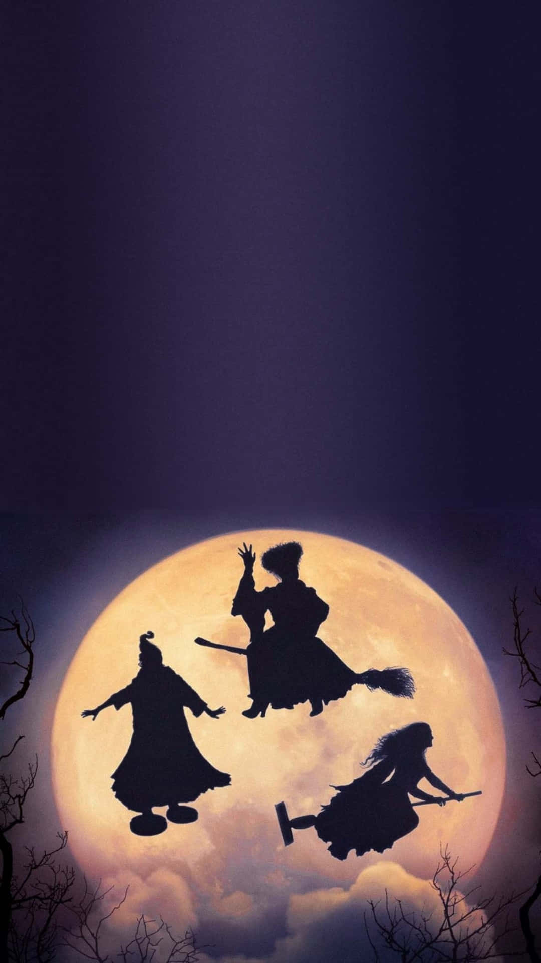 Witches_ Flight_ Against_ Full_ Moon Wallpaper