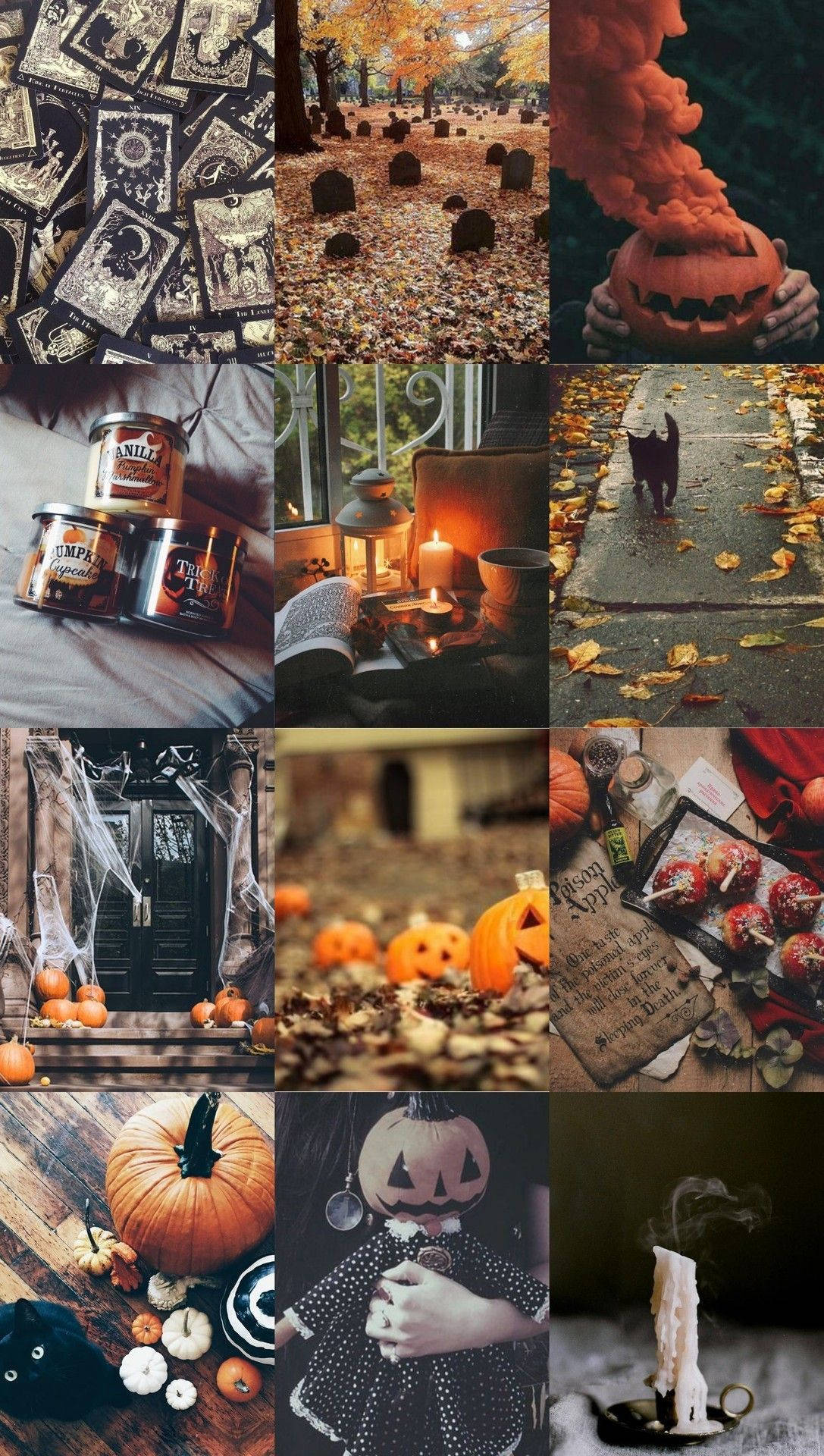 Witchy Aesthetic Halloween Wallpaper