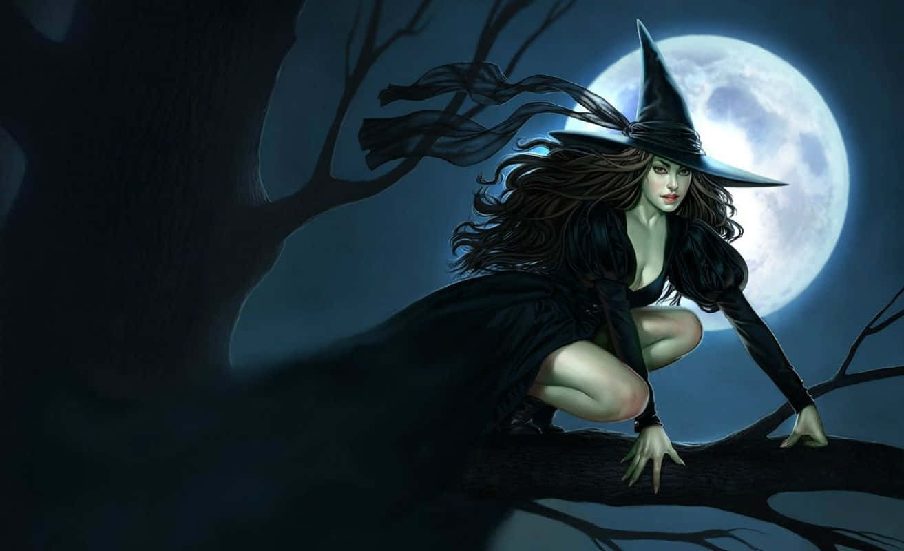 En heks sidder på et trægrene med en fuldmåne Wallpaper