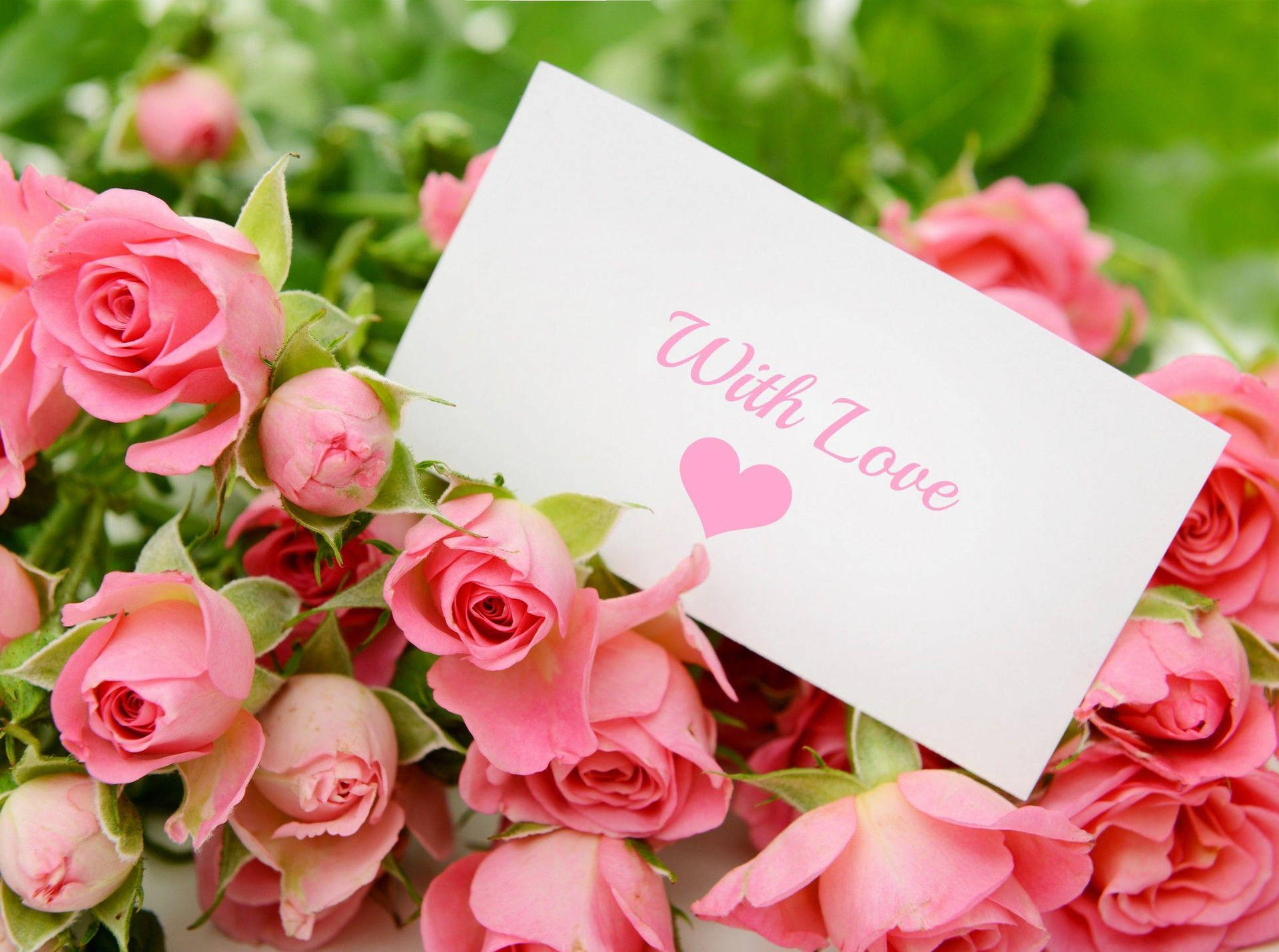 With Love Rose Card Background