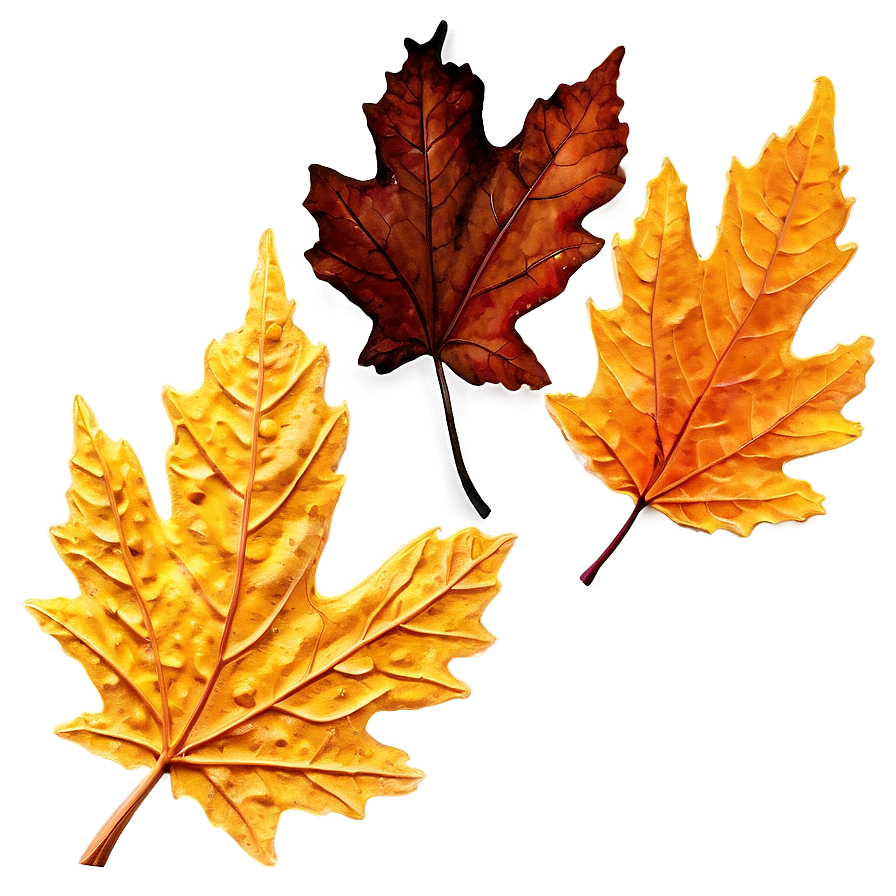 Download Withered Fall Leaf Png 85 | Wallpapers.com