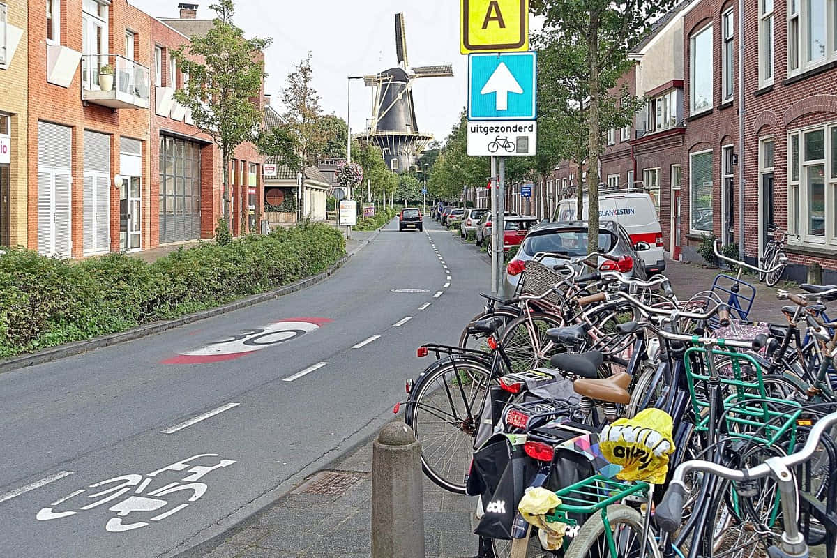 Woerden Street Viewwith Windmill Wallpaper