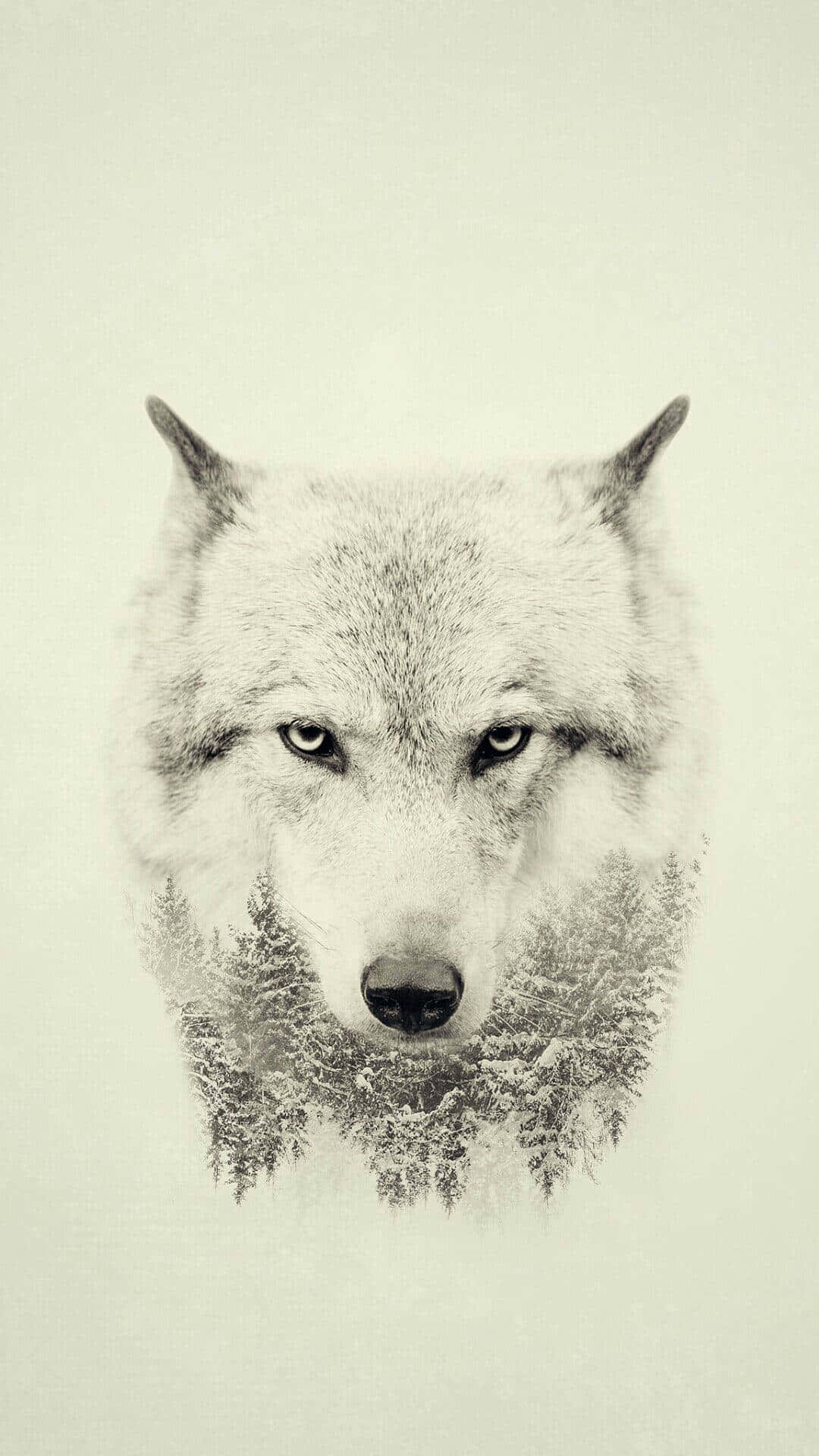 Wolf Aesthetic Wallpaper