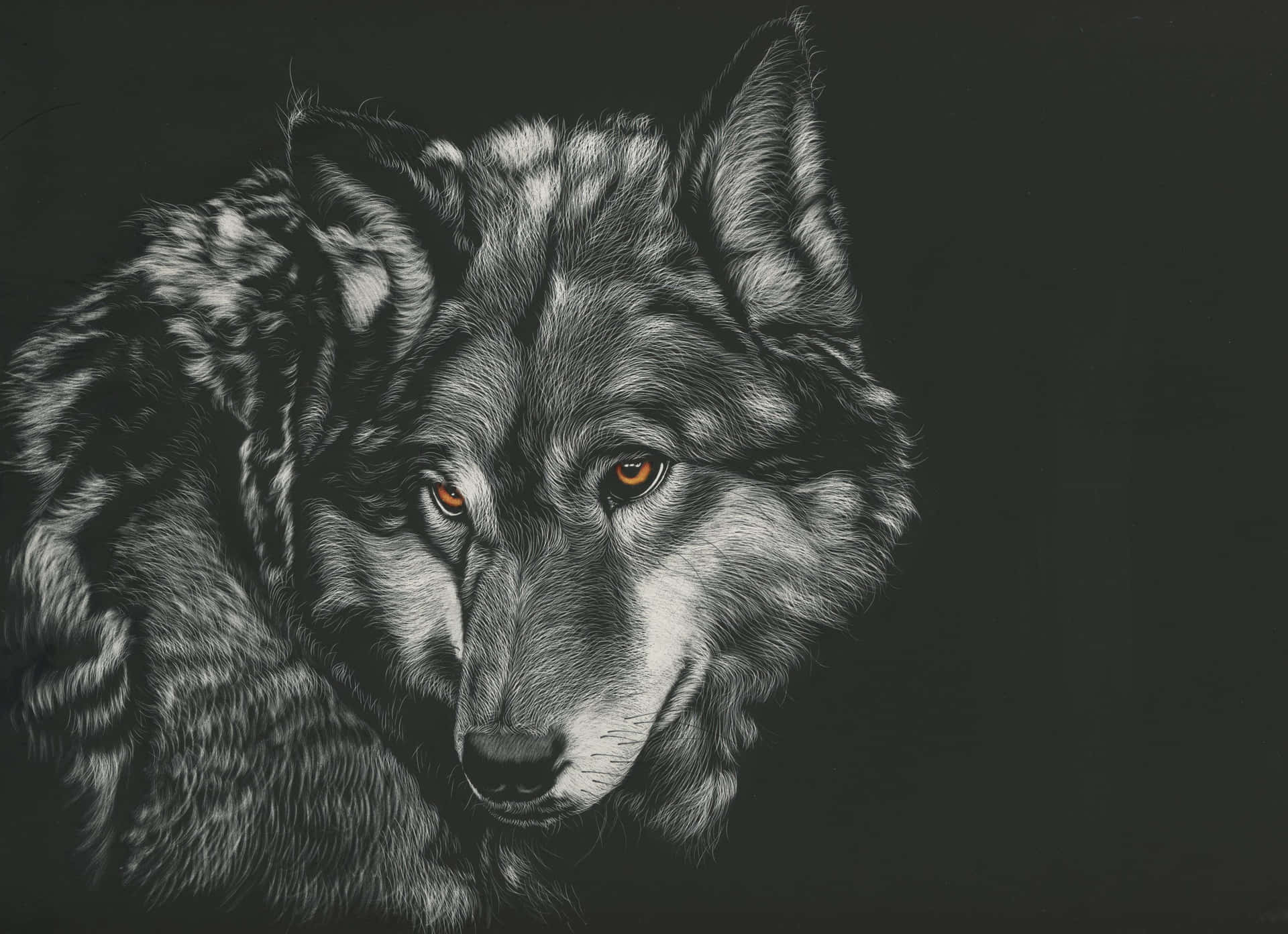 Wolf Aesthetic Wallpaper