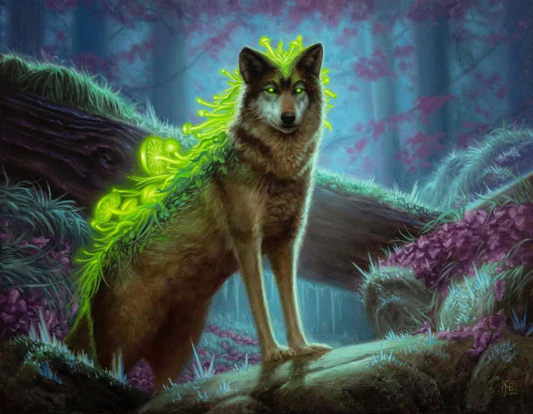 Enchanting Wolf Art in Vibrant Colors Wallpaper