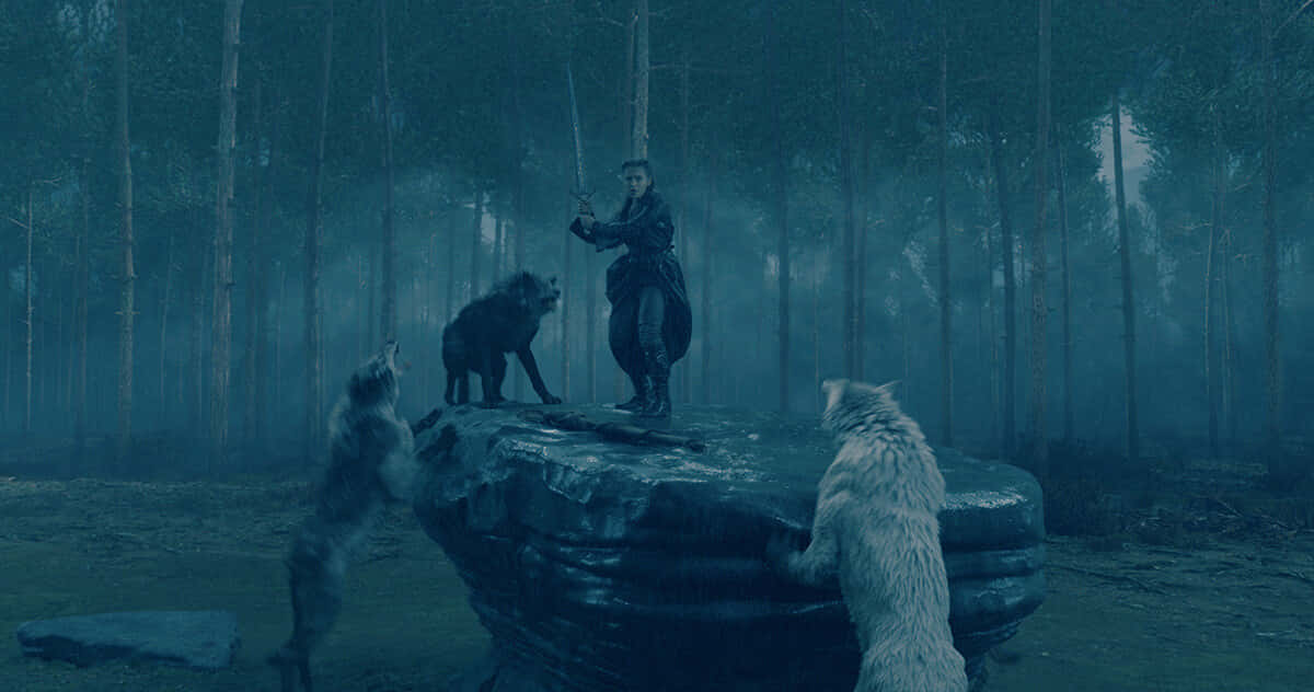 Fierce Wolf Mid-Attack in a Forest Wallpaper