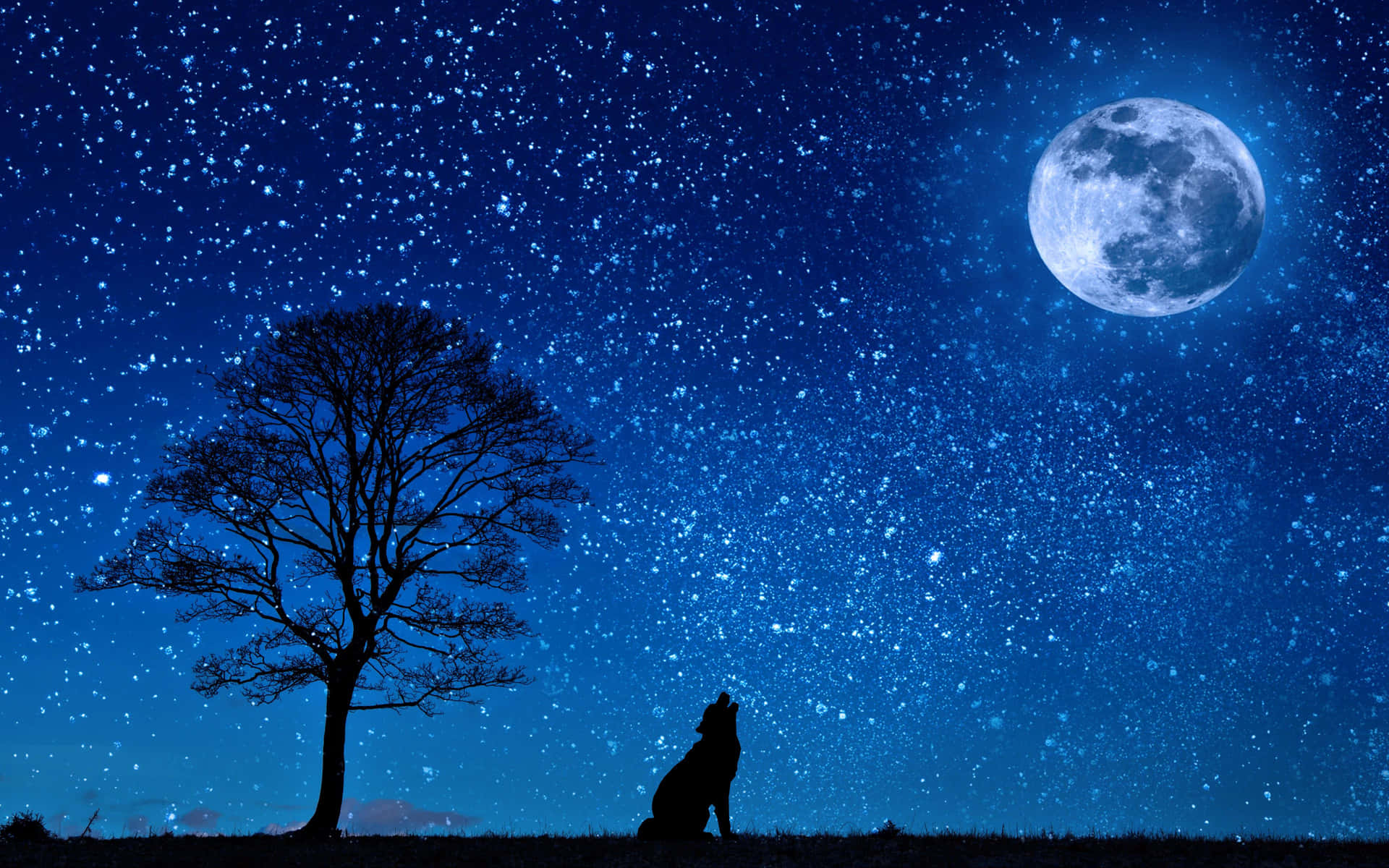 Unmajestuoso Lobo, Aullando En La Noche.