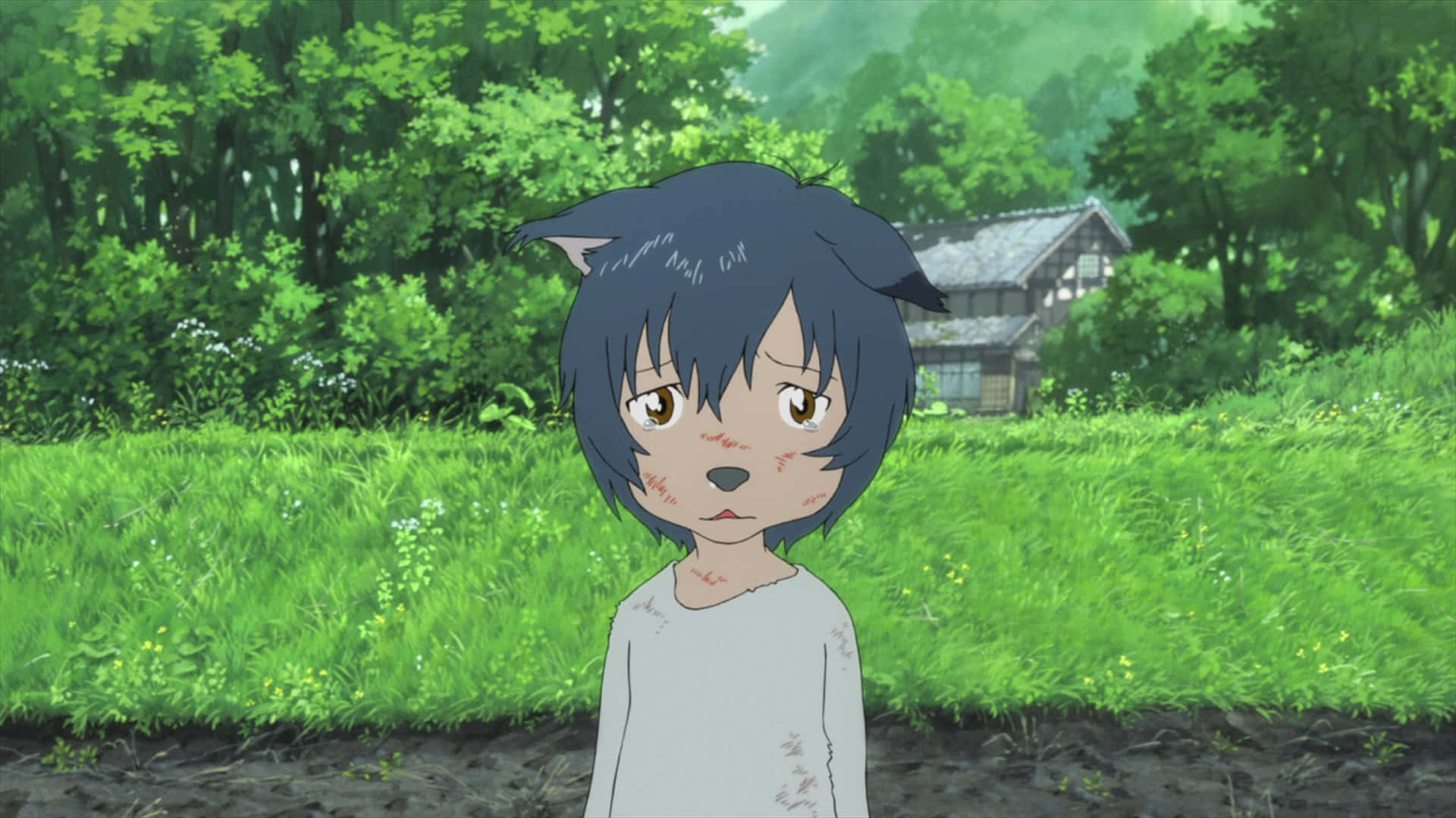 A young wolf pup and its family, from the movie Wolf Children Wallpaper