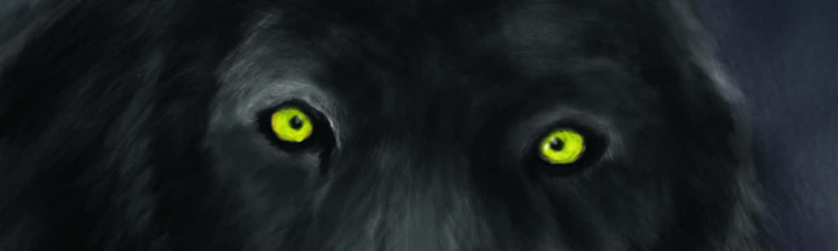 Mysterious Wolf Eyes in the Wild Wallpaper