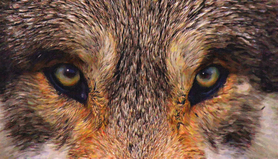 Intense Wolf Eyes in the Wild Wallpaper