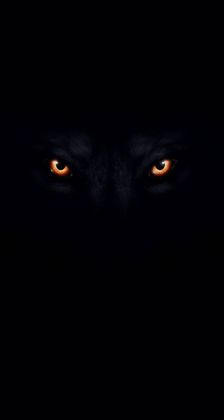 Wolf Eyes In Color Black Background