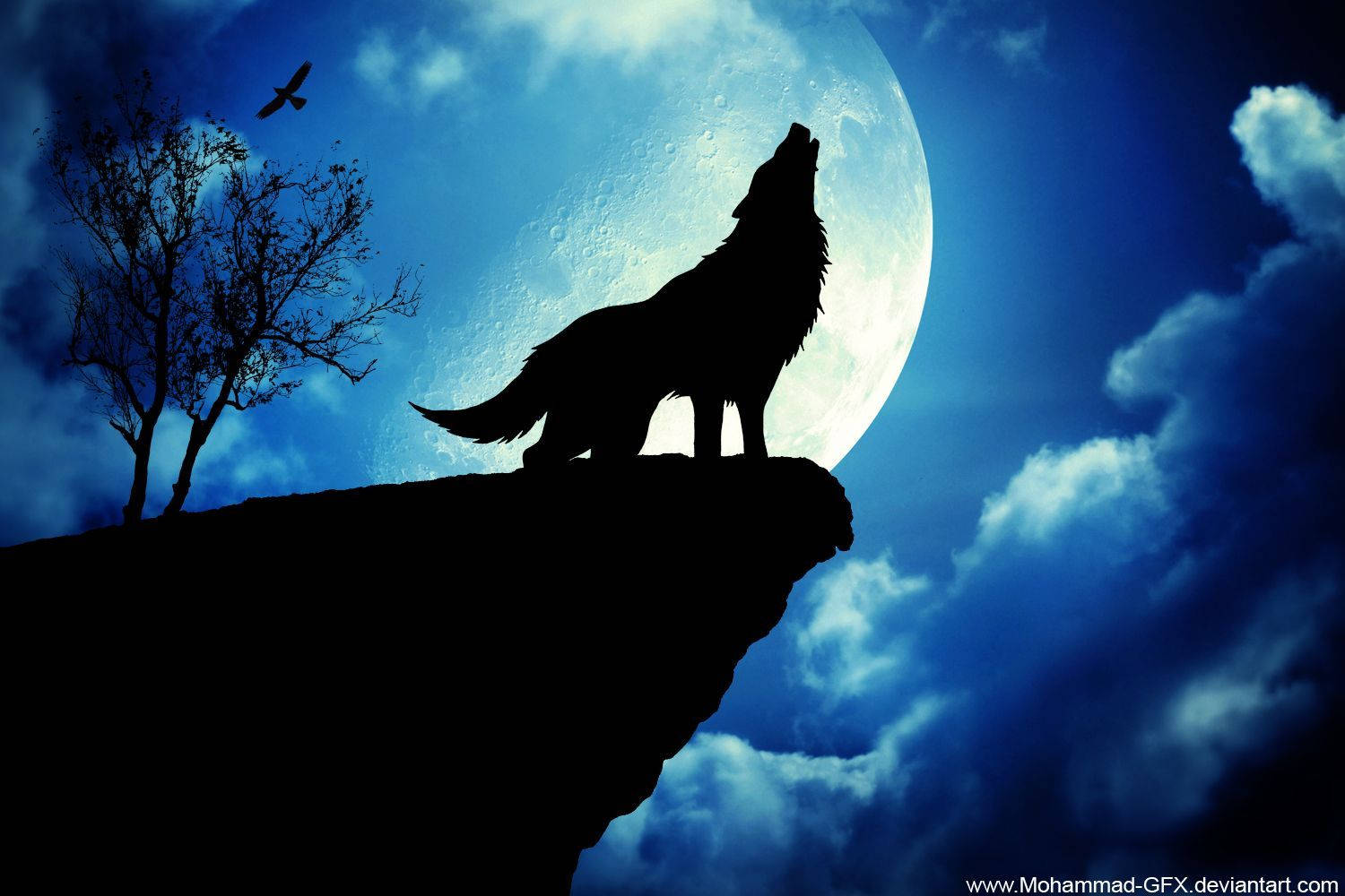 A majestic wolf howling at the dark night sky Wallpaper