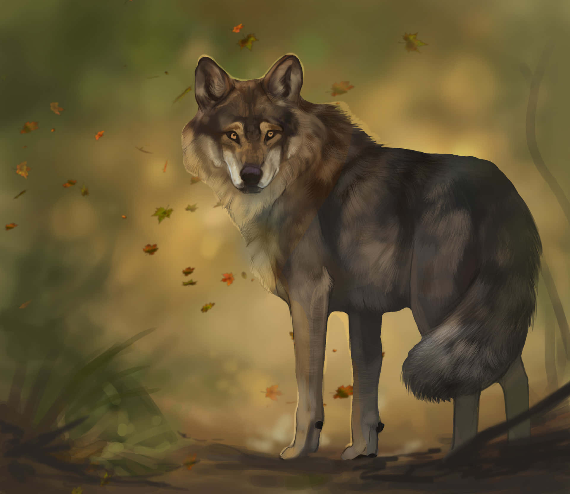 Majestic Wolf in Autumn Forest Wallpaper