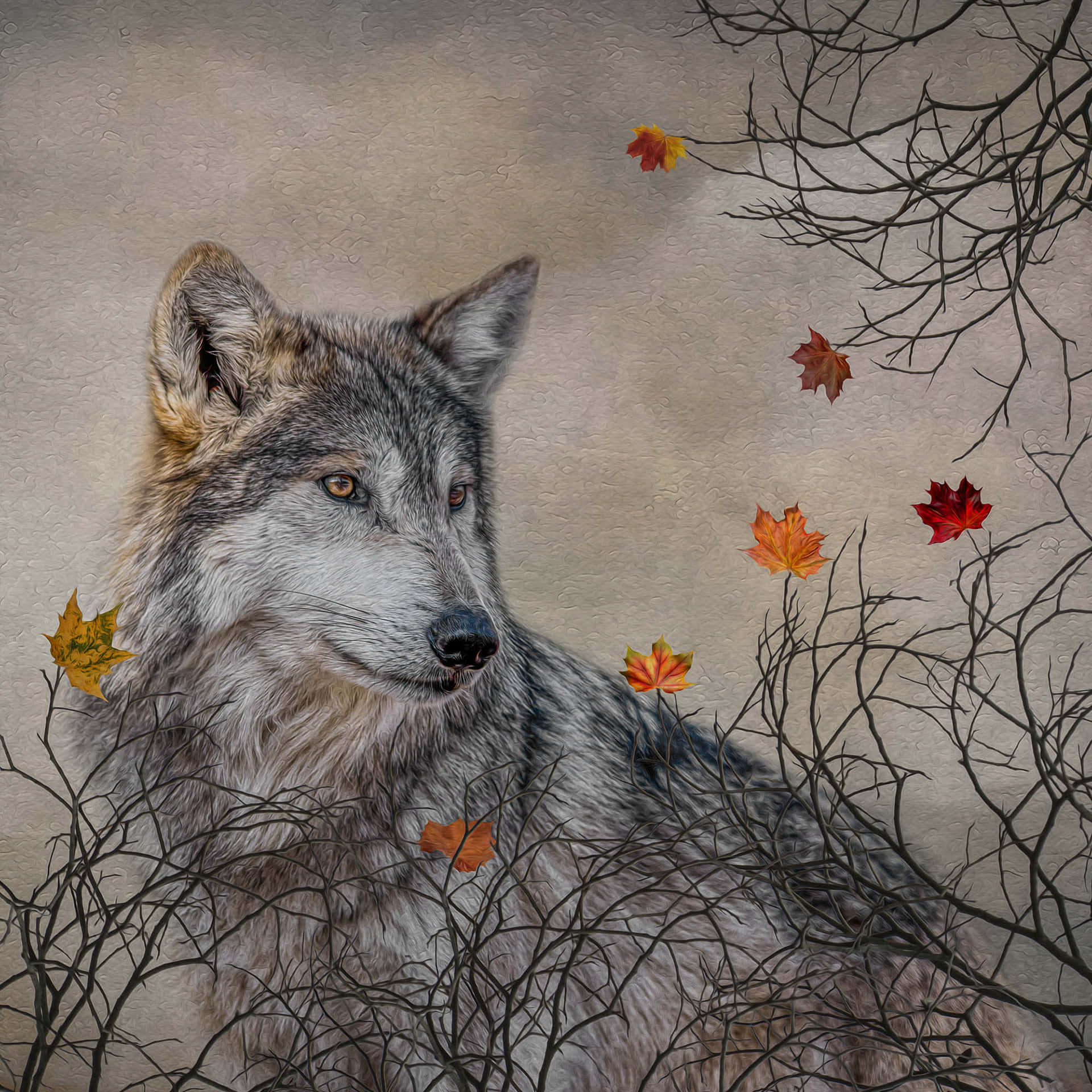Majestic Wolf in a Serene Autumn Forest Wallpaper