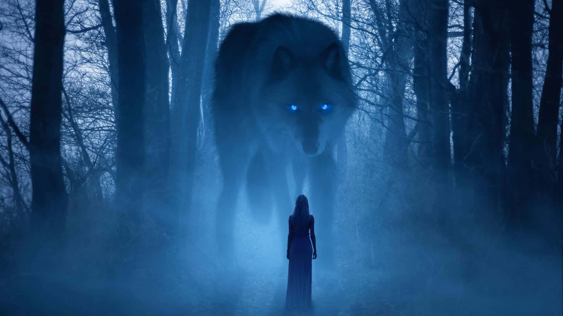 Captivating Wolf In Enchanting Forest Wallpaper