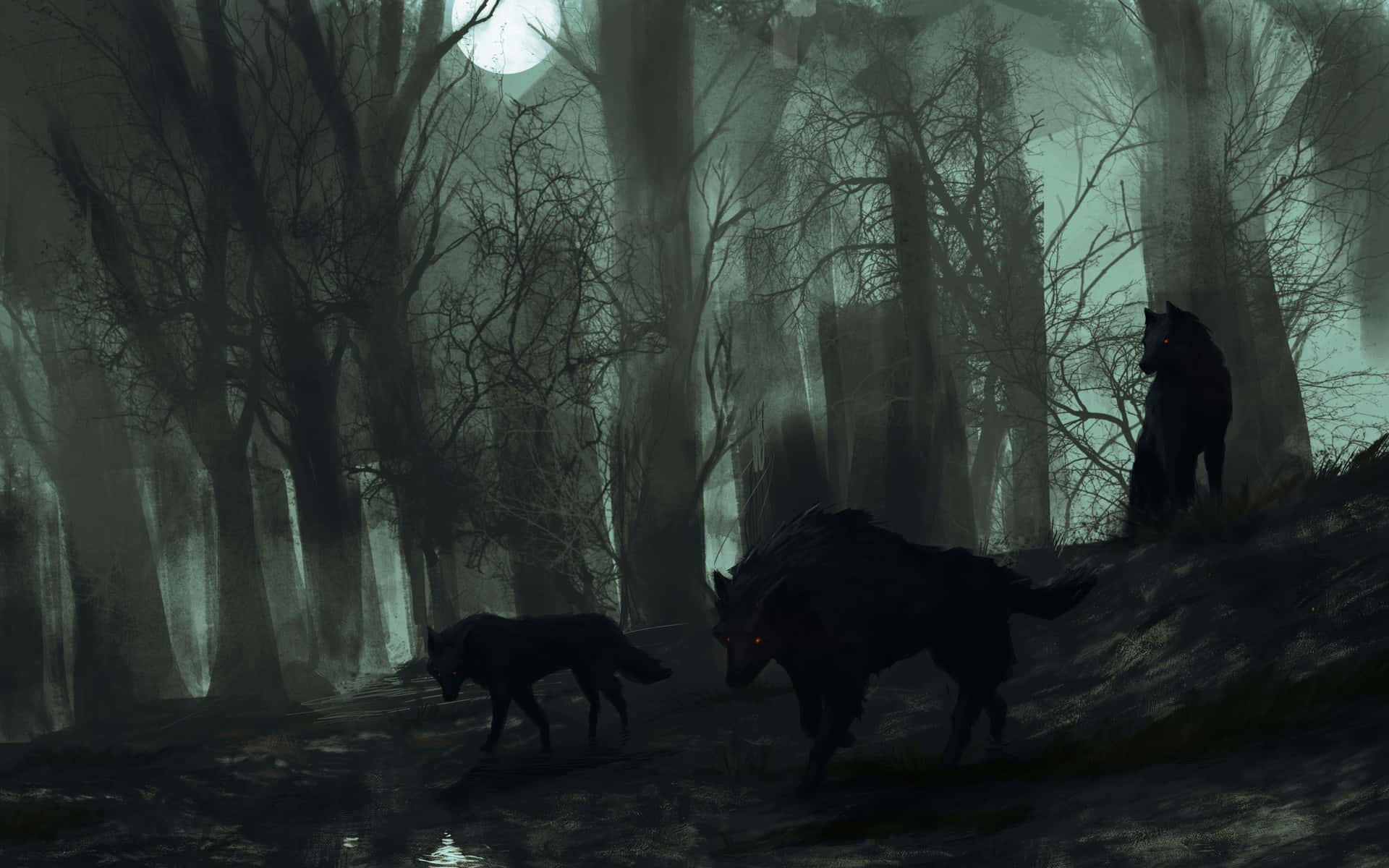 Enigmatic Wolf Roaming Through the Forest Wallpaper