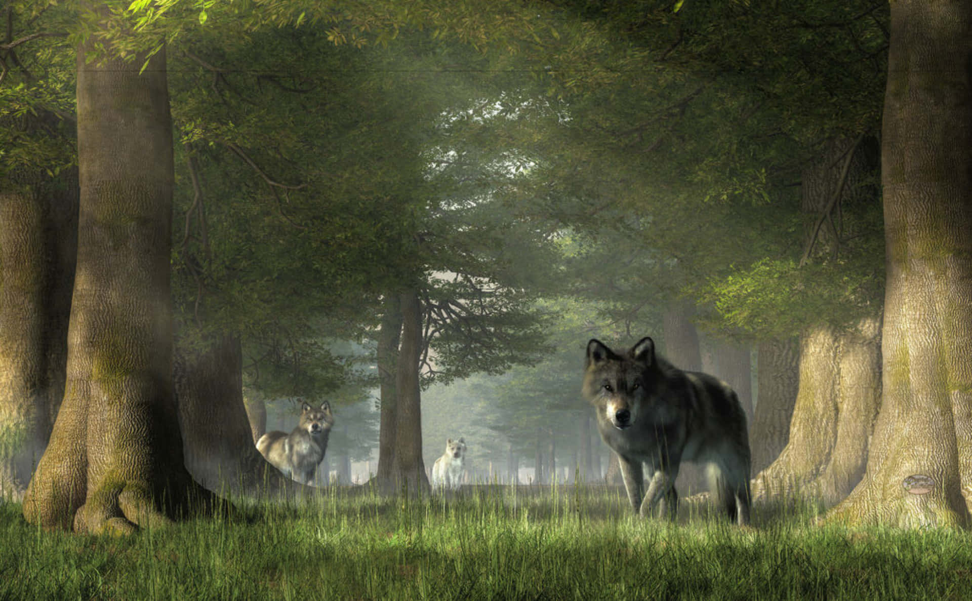 Majestic wolf roaming through the lush forest Wallpaper
