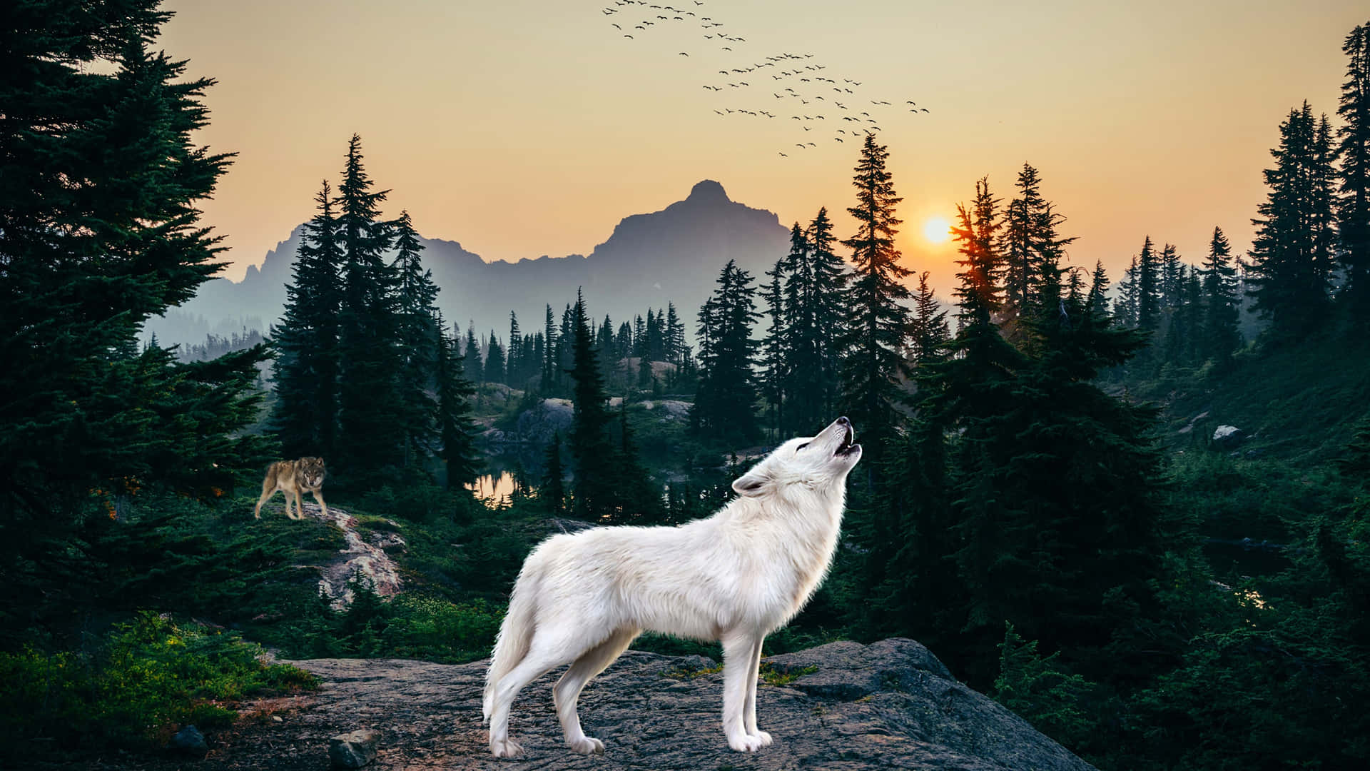 Majestic Wolf Roaming Through Enchanting Forest Wallpaper